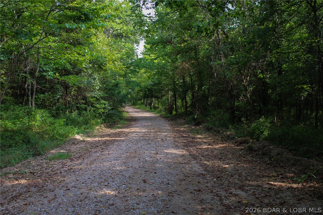 101 Swinging Bridges Road Brumley, MO 65017 - Photo 54 of 57 Gallery Image 54