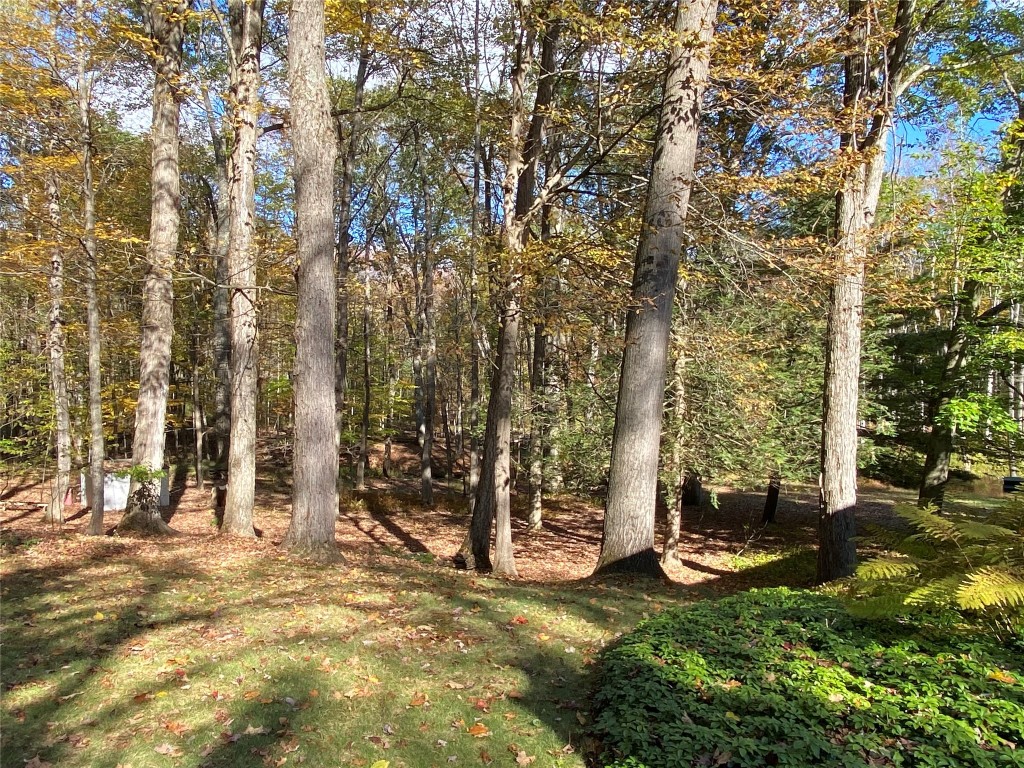 292 Ridgefield Road Endicott, NY 13760 - Photo 3 of 44 Gallery Image 3
