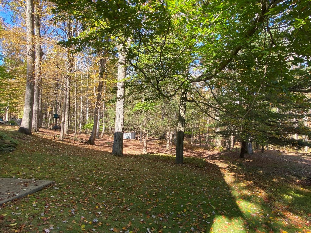 292 Ridgefield Road Endicott, NY 13760 - Photo 7 of 44 Gallery Image 7