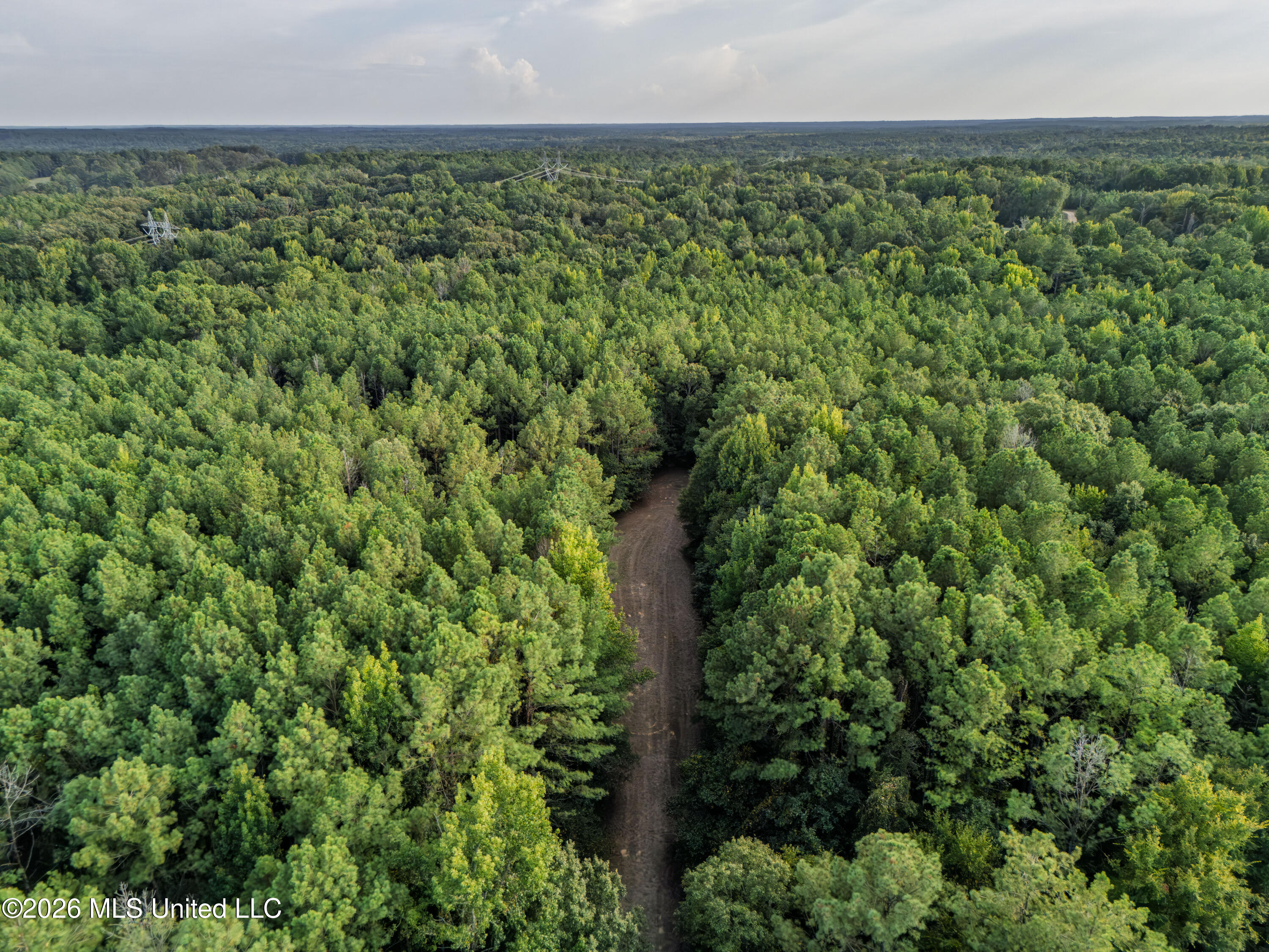884 Truitt Road Pickens, MS 39146 - Photo 34 of 36 DJI_20260817180247_0221_D-HDR