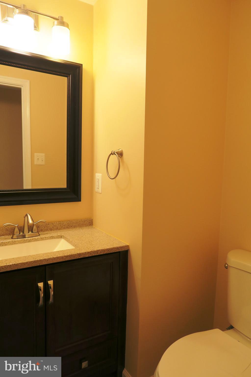 7845 Painted Daisy Drive Springfield, VA 22152 - Photo 29 of 46