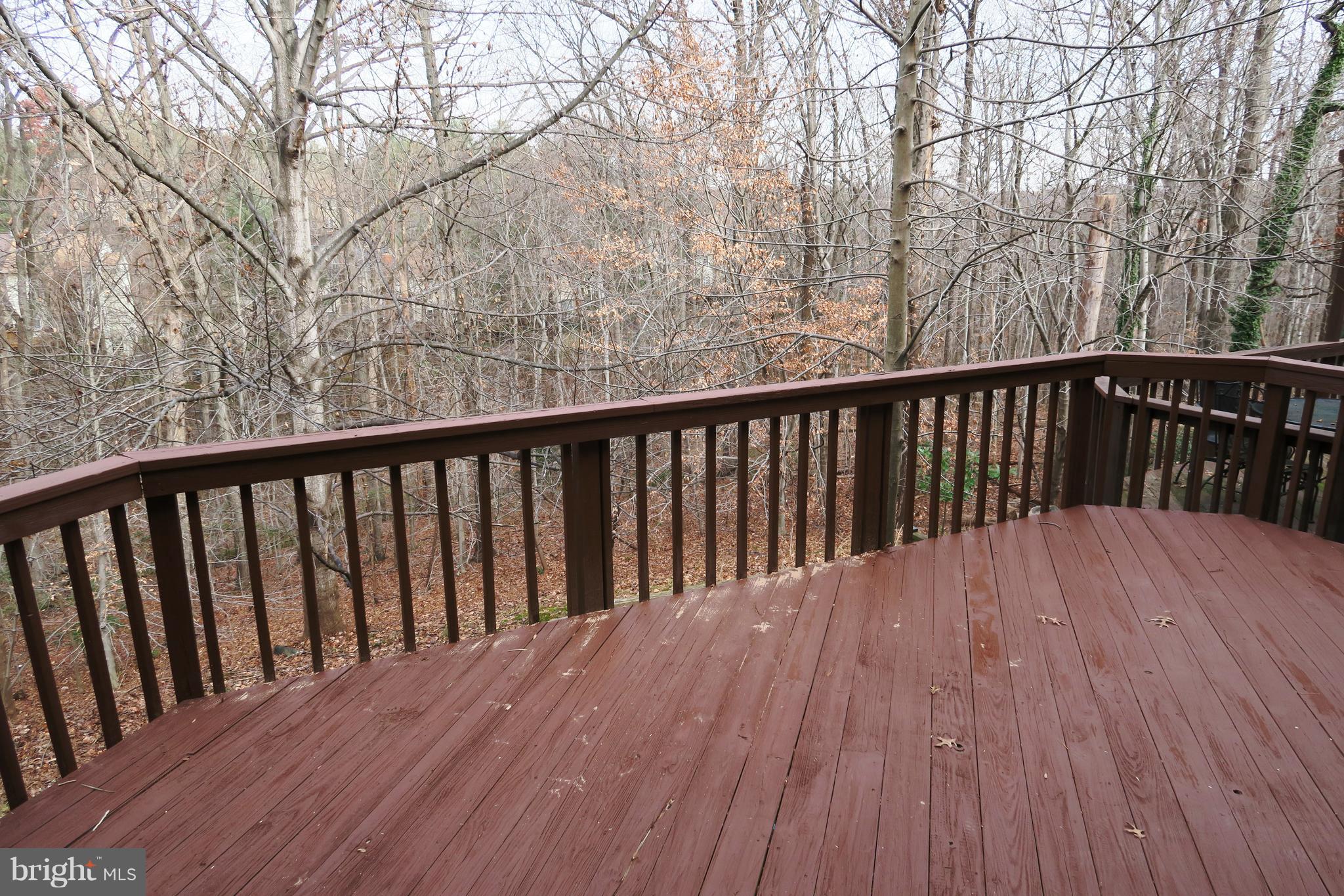 7845 Painted Daisy Drive Springfield, VA 22152 - Photo 31 of 46