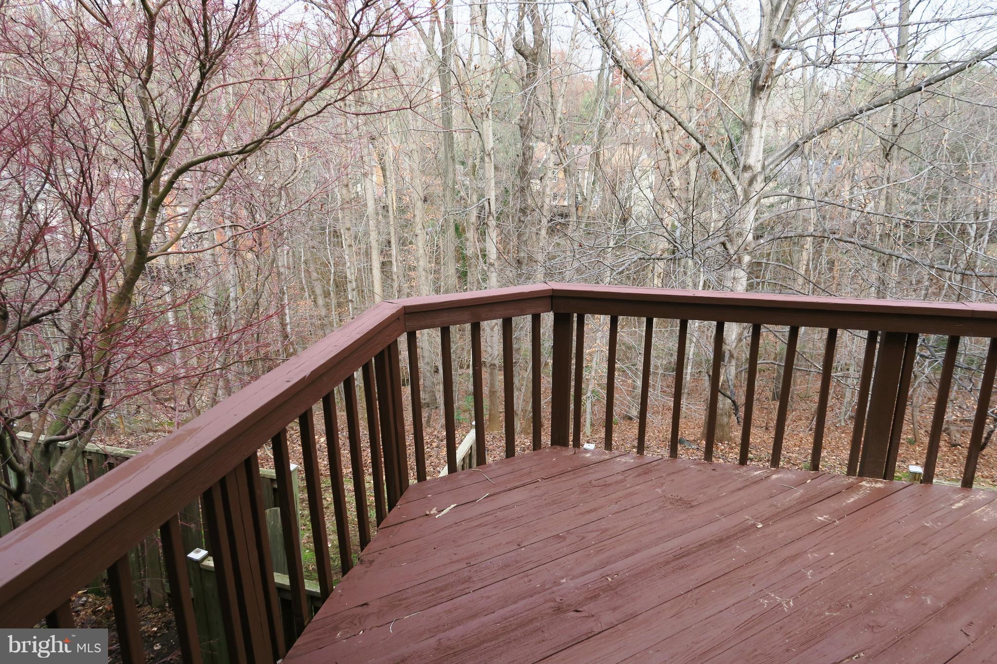 7845 Painted Daisy Drive Springfield, VA 22152 - Photo 32 of 46