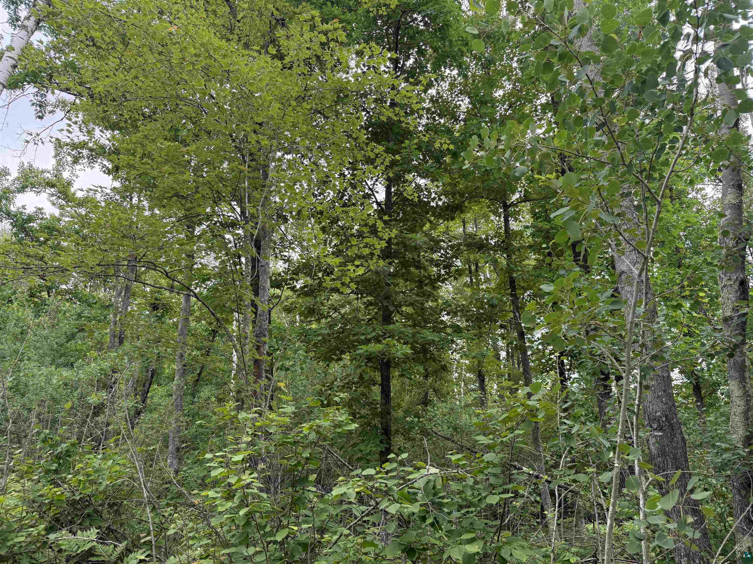 58059 Wolf Creek Road Sandstone, MN 55072 - Photo 19 of 31