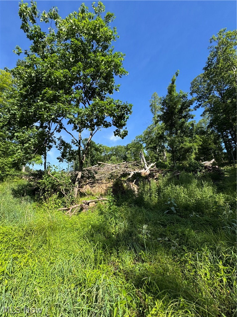 Stone Quarry Road Danville, OH 43014 - Photo 36 of 50