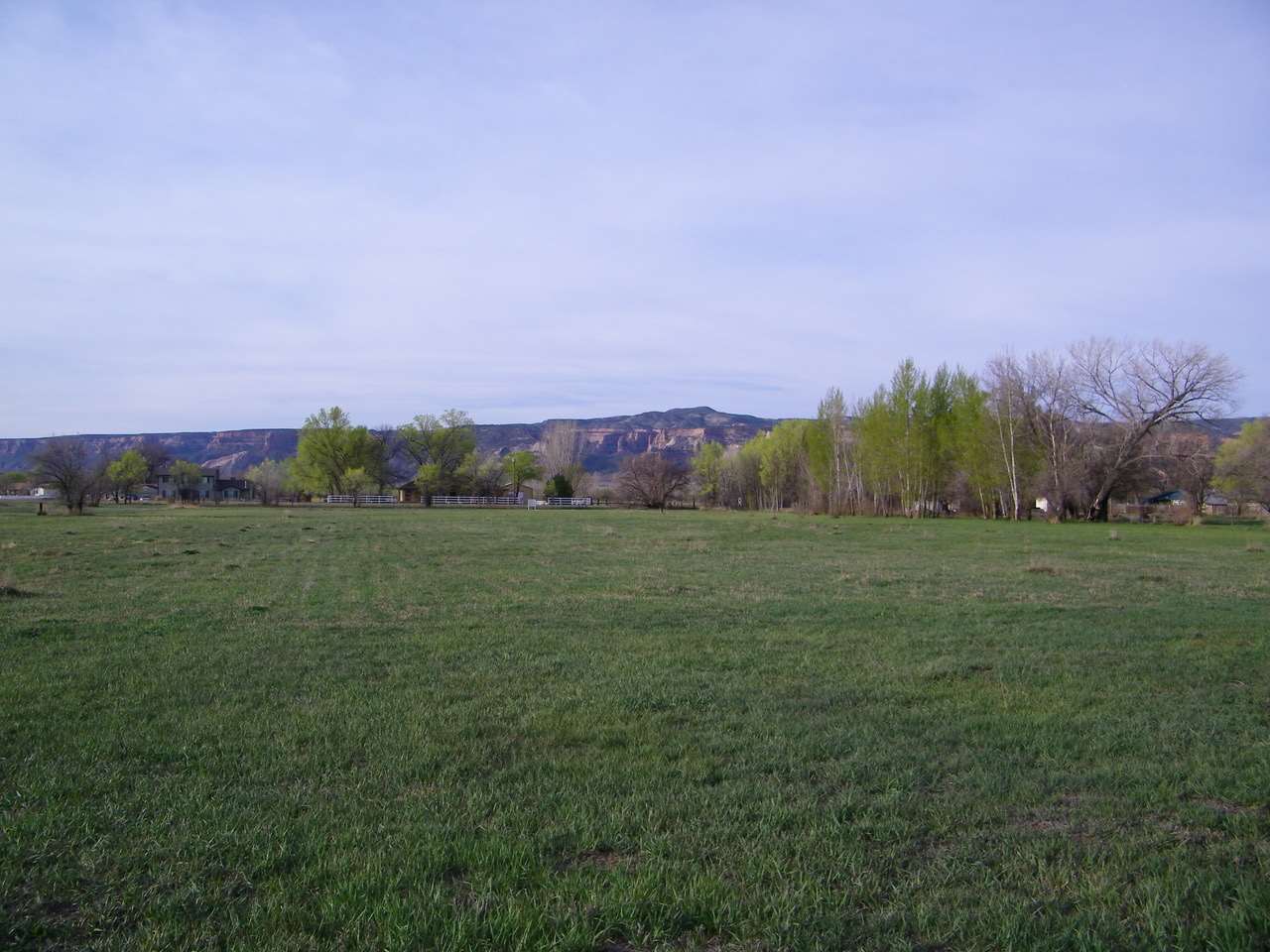1866 J Road Fruita, CO 81521 - Photo 14 of 23 a view of a city with lush green forest