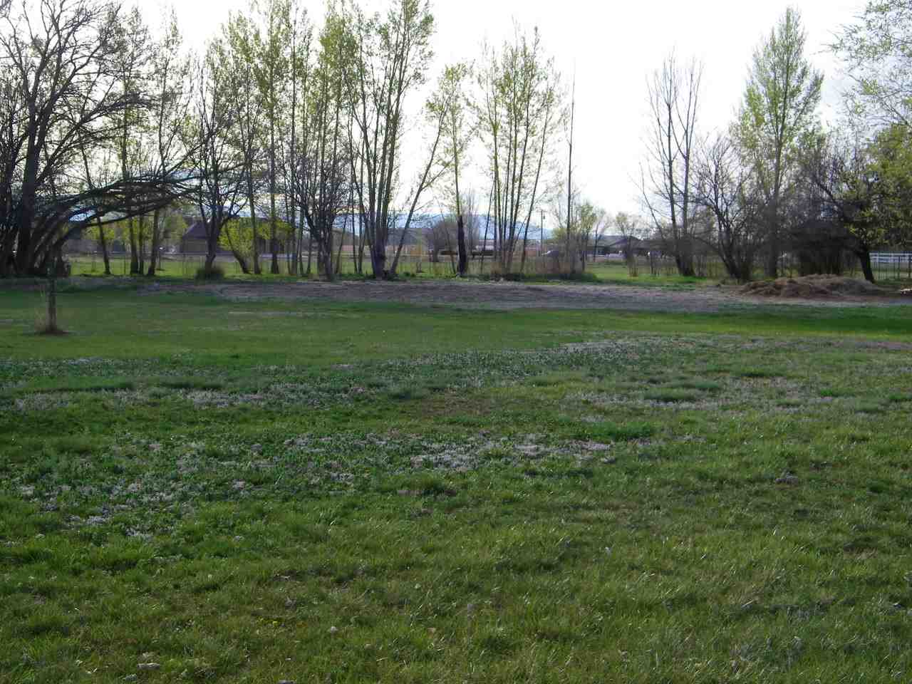 1866 J Road Fruita, CO 81521 - Photo 15 of 23 a view of a park