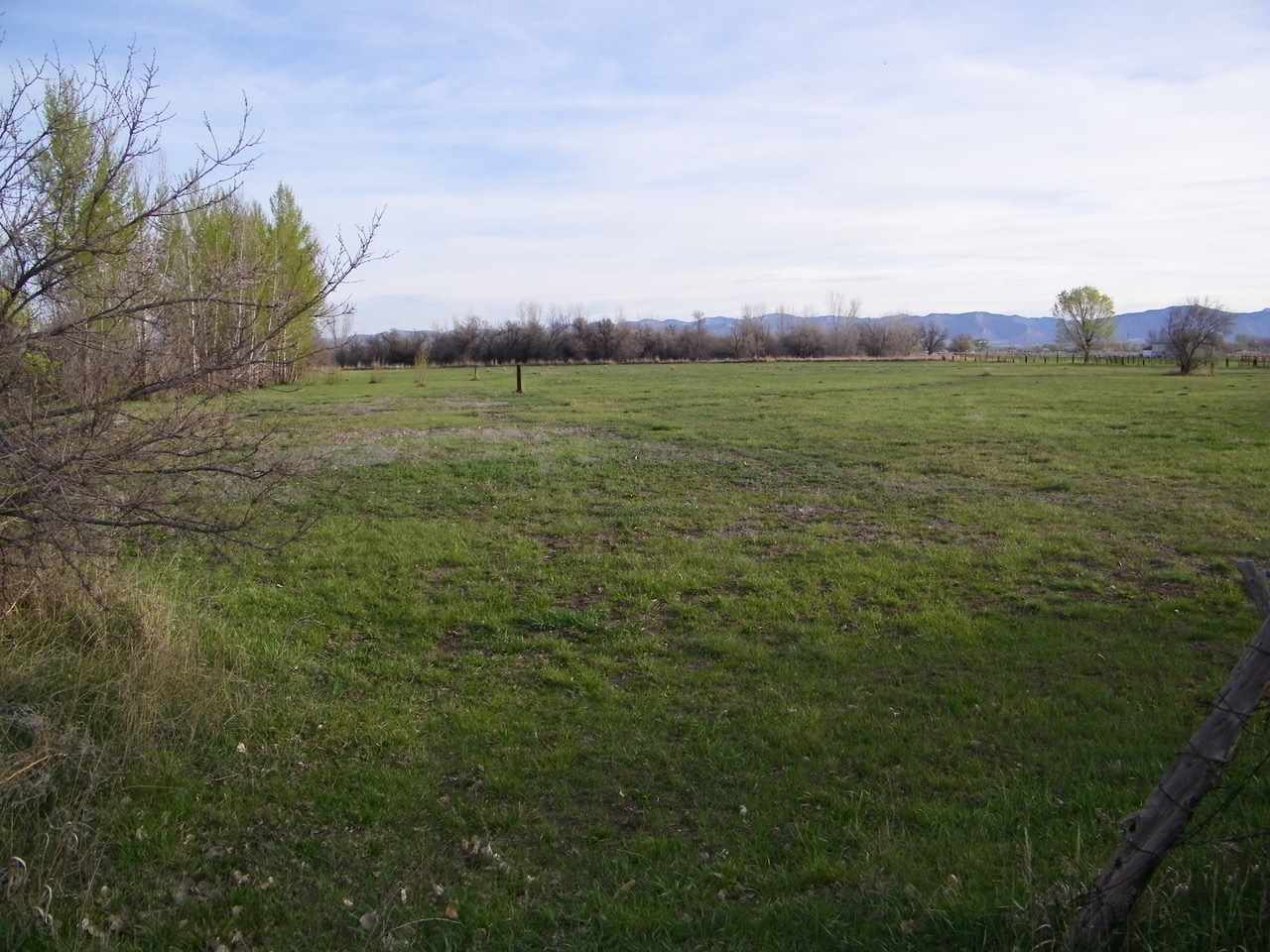 1866 J Road Fruita, CO 81521 - Photo 16 of 23 a view of a field with an ocean view