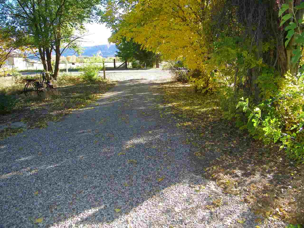 1866 J Road Fruita, CO 81521 - Photo 18 of 23 a view of a yard with a tree