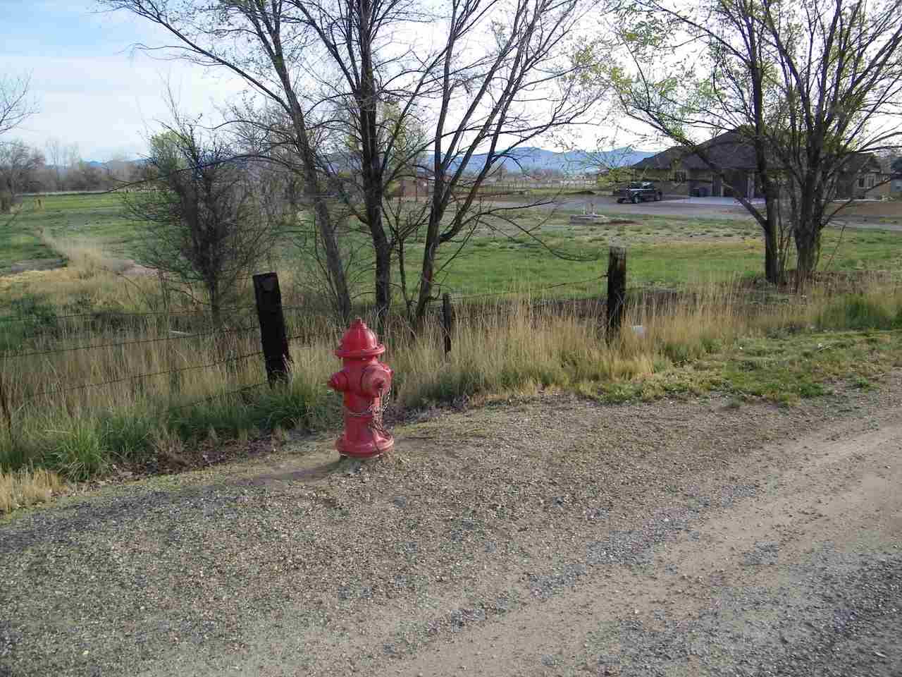 1866 J Road Fruita, CO 81521 - Photo 19 of 23 a backyard of a house with lots of green space and fountain