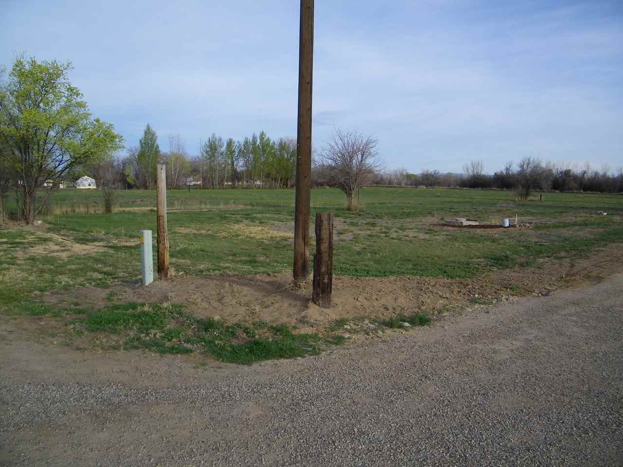 1866 J Road Fruita, CO 81521 - Photo 20 of 23 a view of a park with large trees