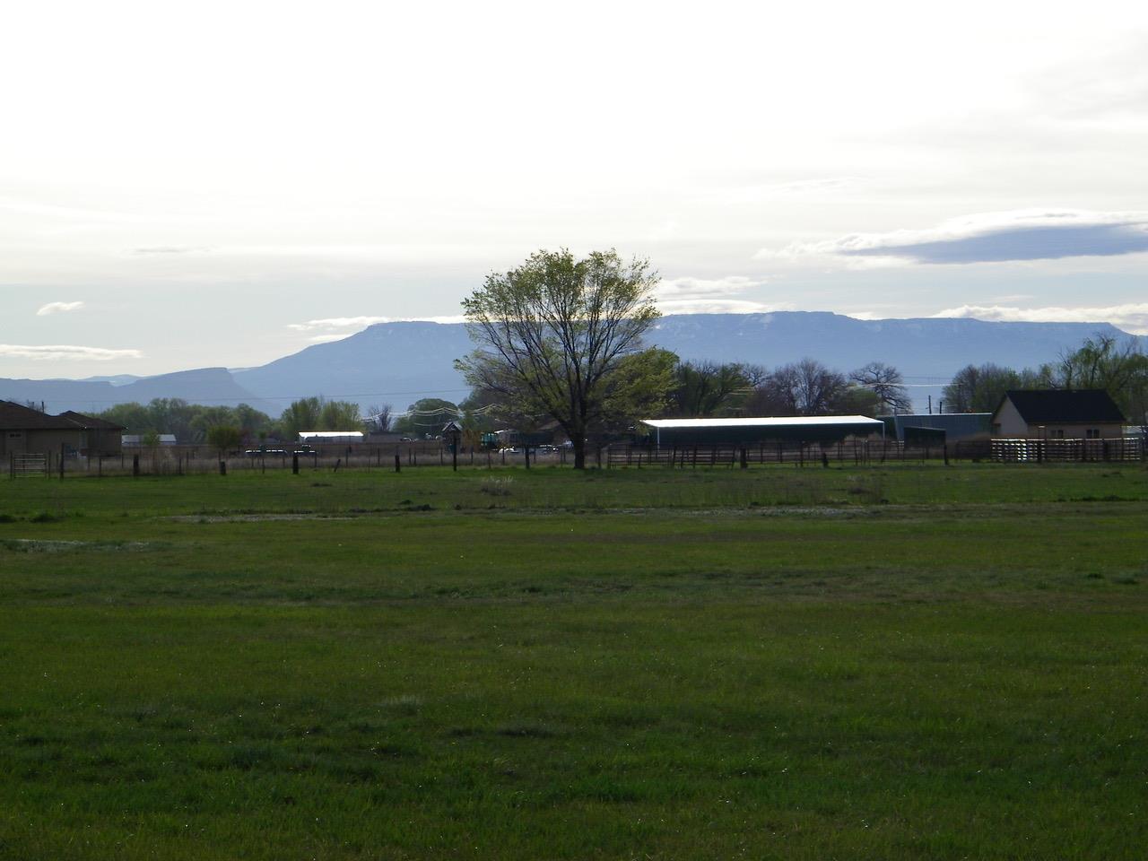 1866 J Road Fruita, CO 81521 - Photo 2 of 23 a view of grassy field with mountain