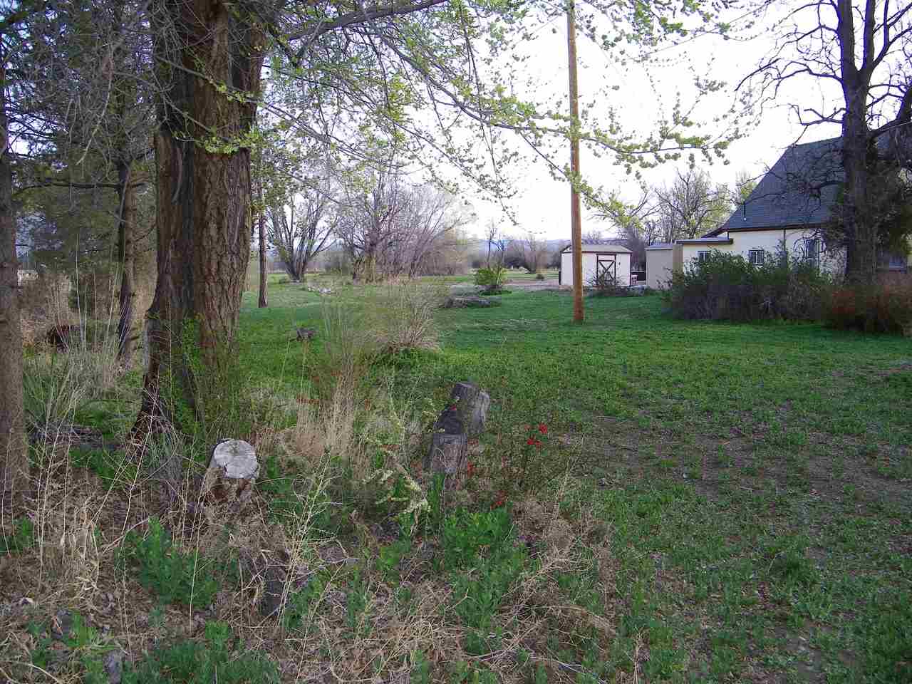 1866 J Road Fruita, CO 81521 - Photo 21 of 23 a backyard of a house with lots of green space