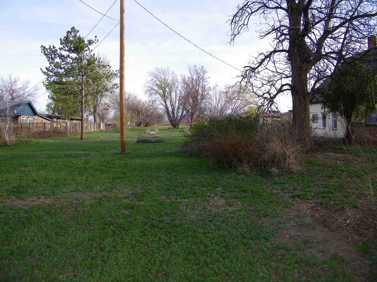 1866 J Road Fruita, CO 81521 - Photo 22 of 23 a view of a field of grass and trees