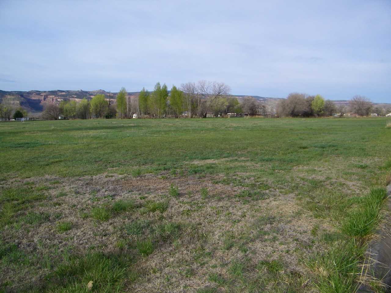 1866 J Road Fruita, CO 81521 - Photo 3 of 23 a view of an outdoor space and a yard