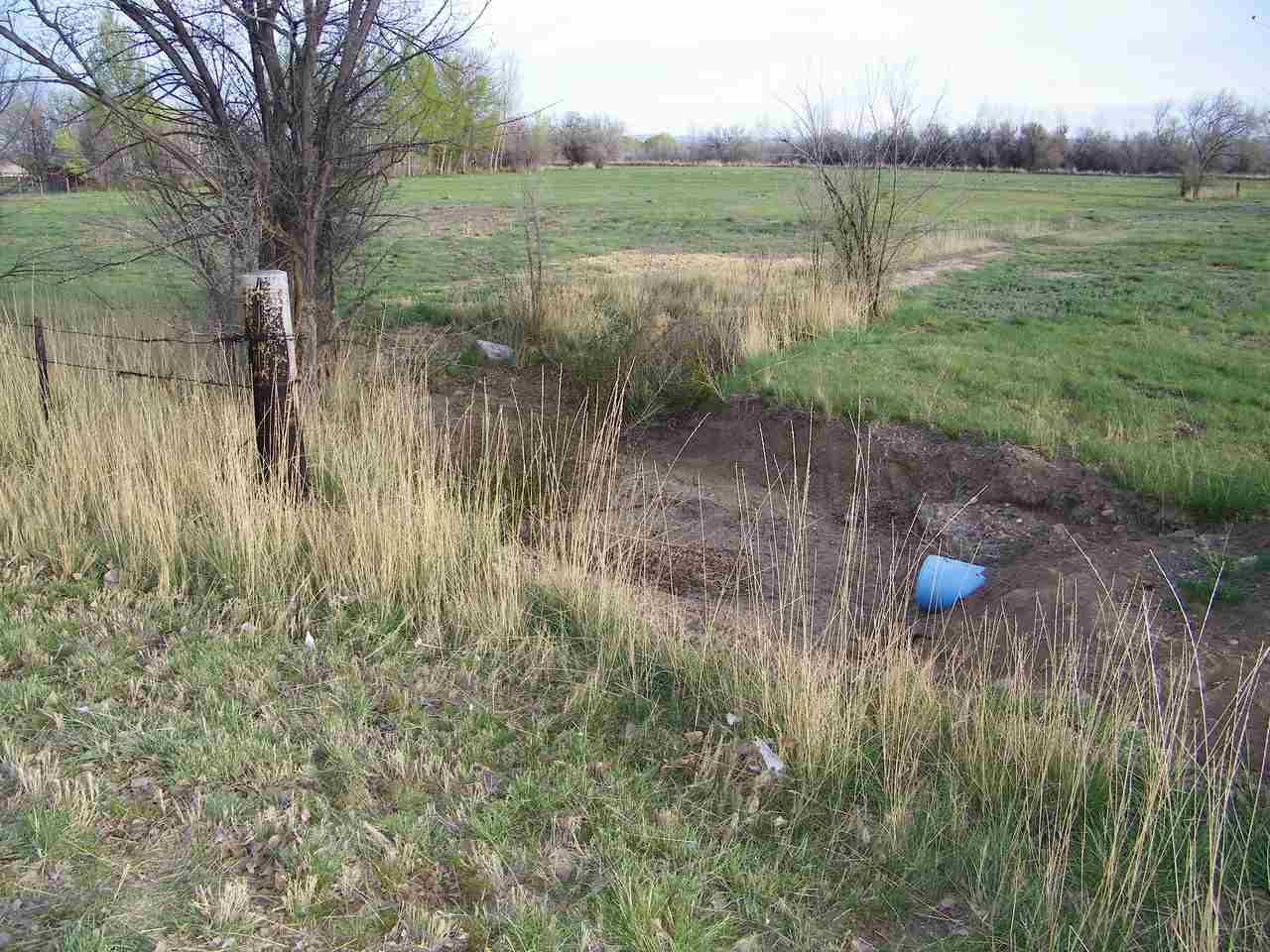 1866 J Road Fruita, CO 81521 - Photo 7 of 23 a view of lake with green space