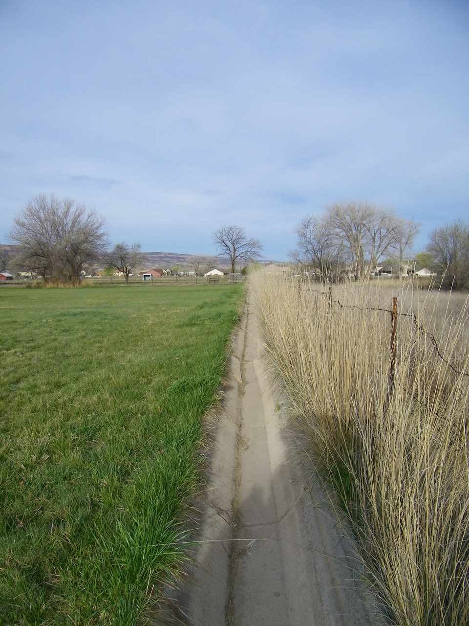 1866 J Road Fruita, CO 81521 - Photo 10 of 23 a view of a lake with a big yard
