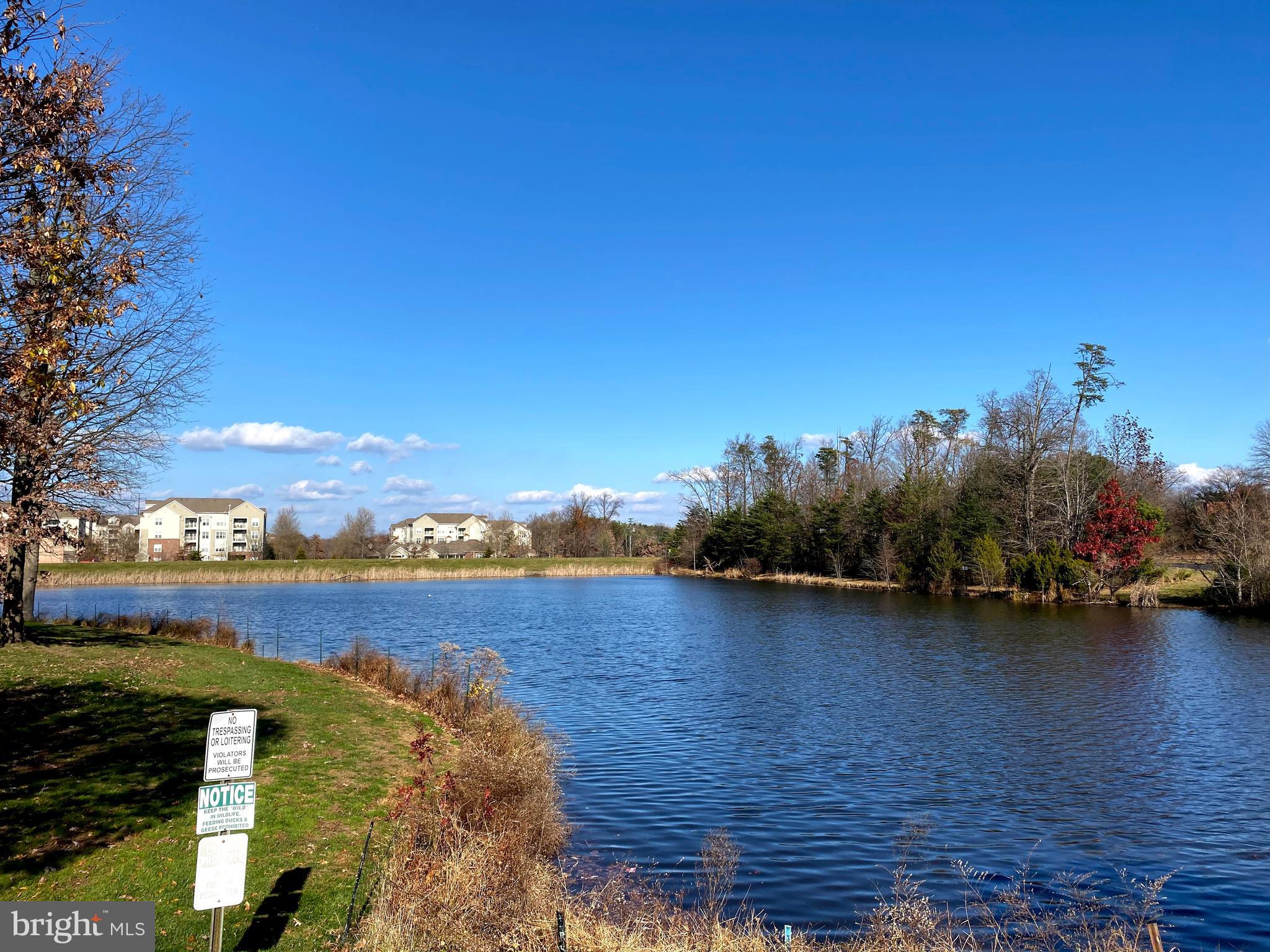 1700 Lake Shore Crest Drive, Unit 23 Reston, VA 20190 - Photo 35 of 39