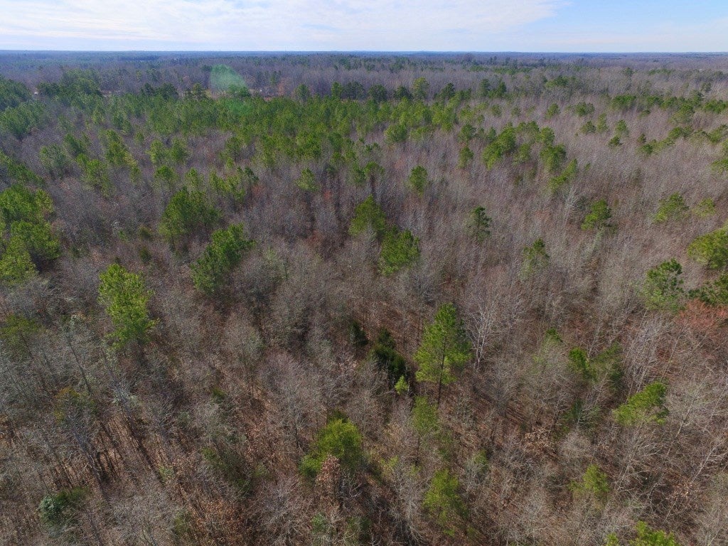 0 Taylor Ferry Road Boydton, VA 23917 - Photo 14 of 36 Gallery Image 14