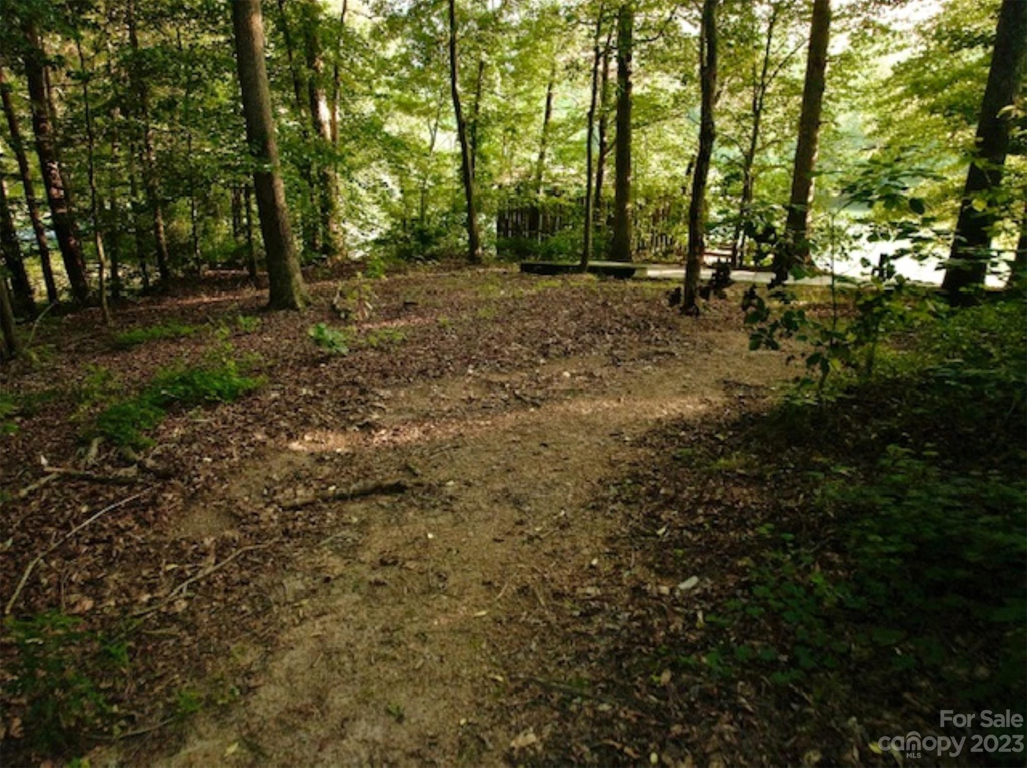 2743 Harmony Highway Harmony, NC 28634 - Photo 41 of 47 a view of a forest with trees in the background
