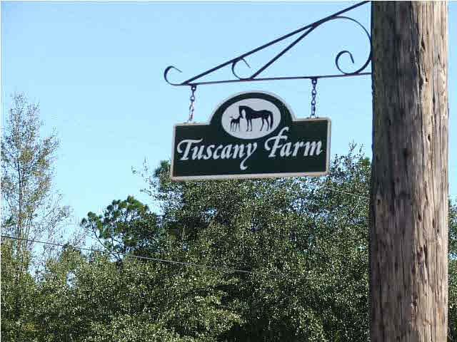9493 Hay Meadow Road Milton, FL 32583 - Photo 2 of 24 Gallery Image 2
