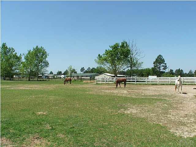 9493 Hay Meadow Road Milton, FL 32583 - Photo 21 of 24 Dog Kennels