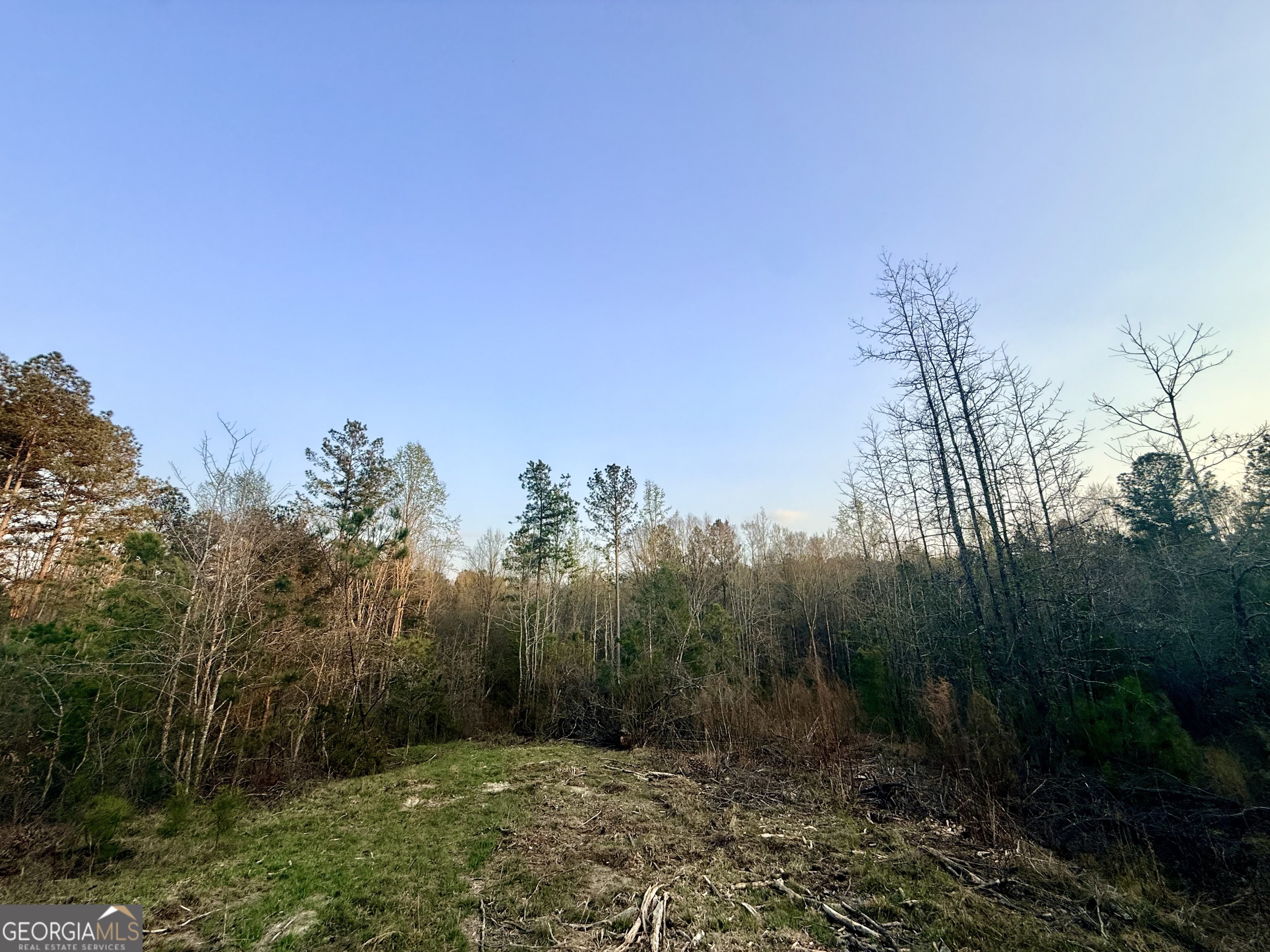 15 Turning Point Way Elberton, GA 30635 - Photo 105 of 110