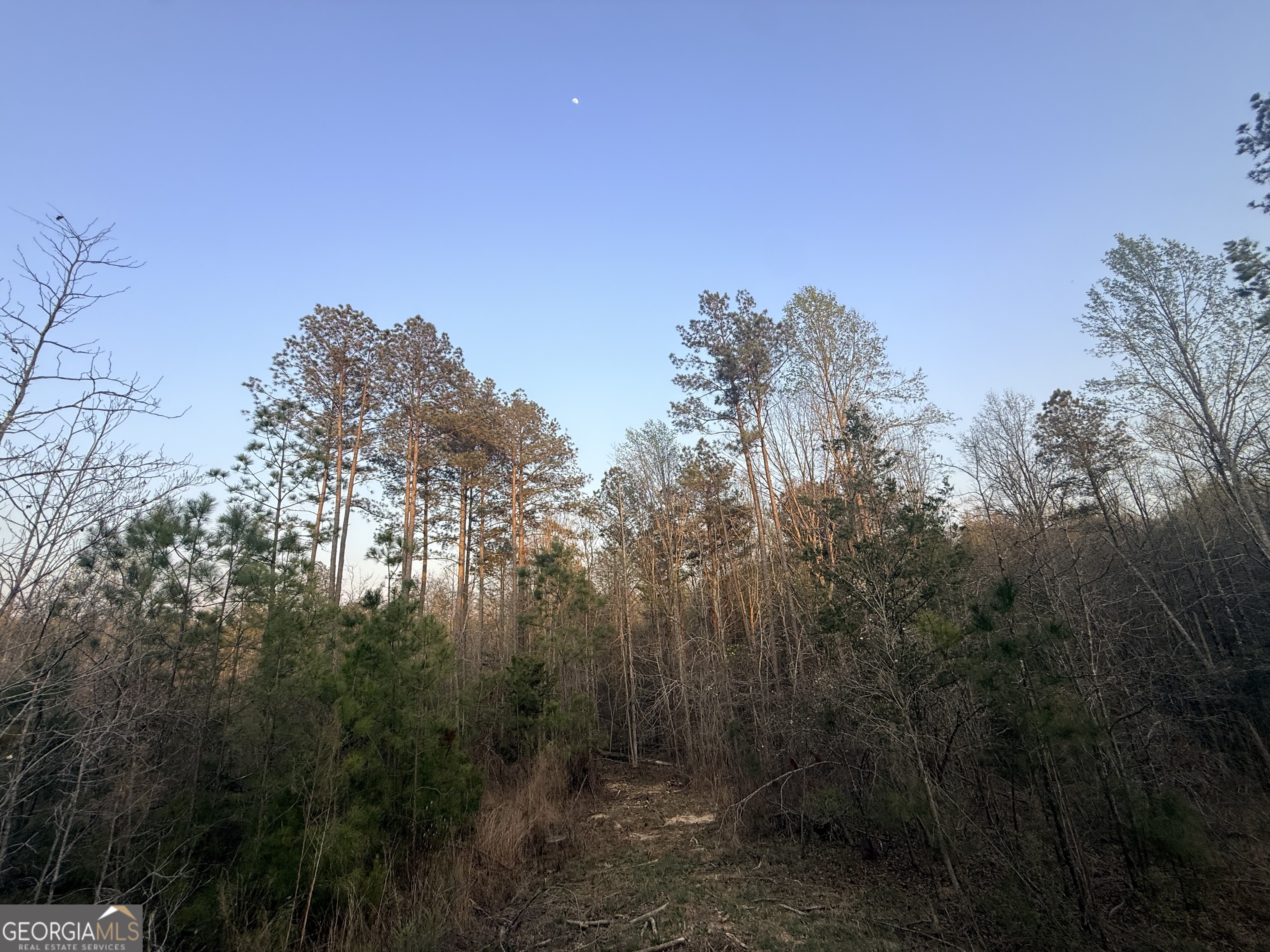 15 Turning Point Way Elberton, GA 30635 - Photo 109 of 110