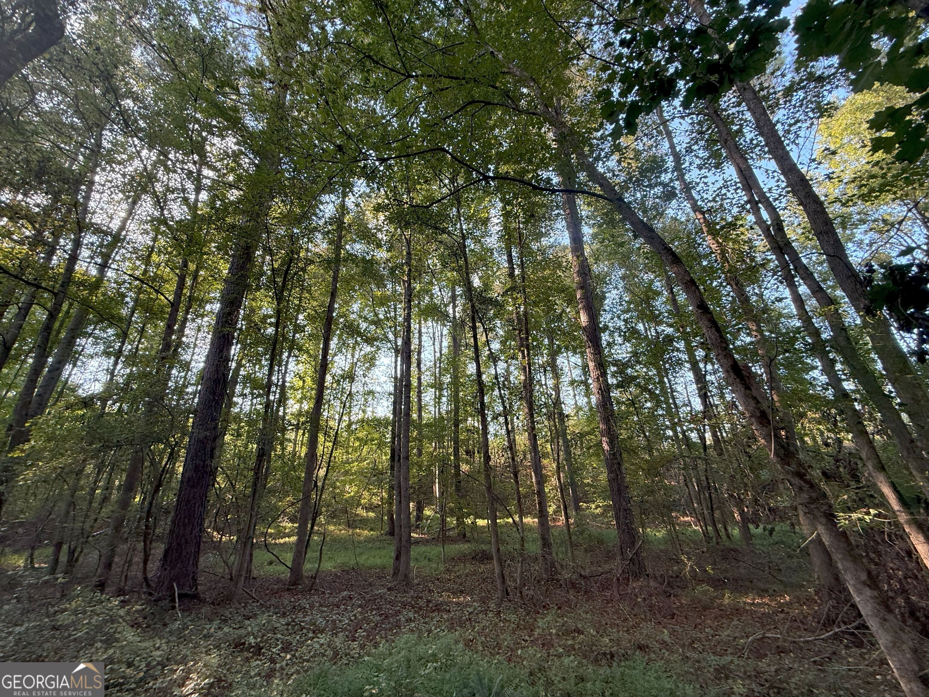 15 Turning Point Way Elberton, GA 30635 - Photo 11 of 110