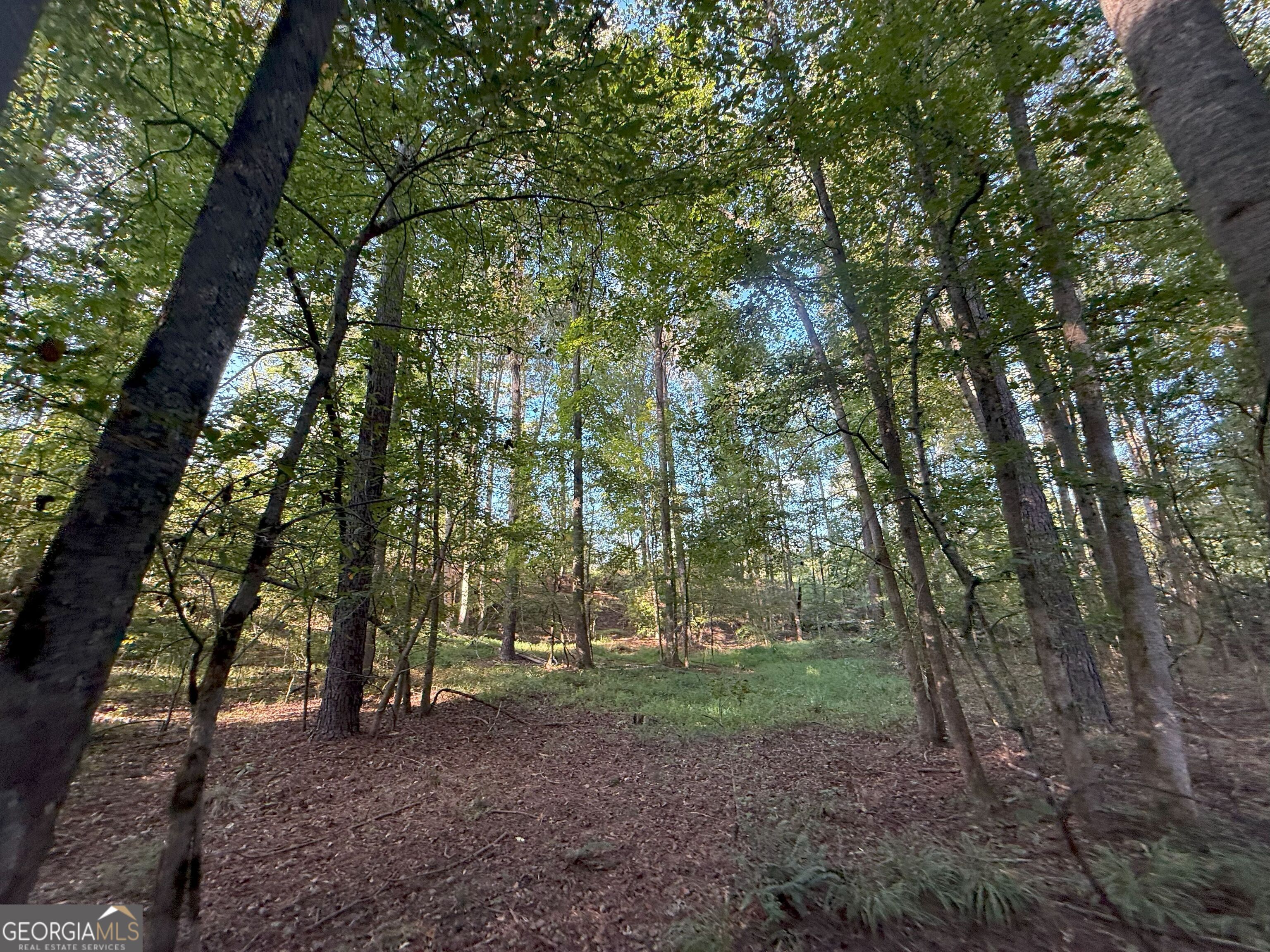 15 Turning Point Way Elberton, GA 30635 - Photo 12 of 110