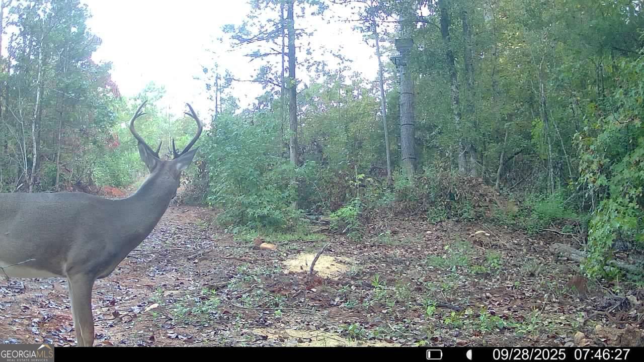 15 Turning Point Way Elberton, GA 30635 - Photo 13 of 110