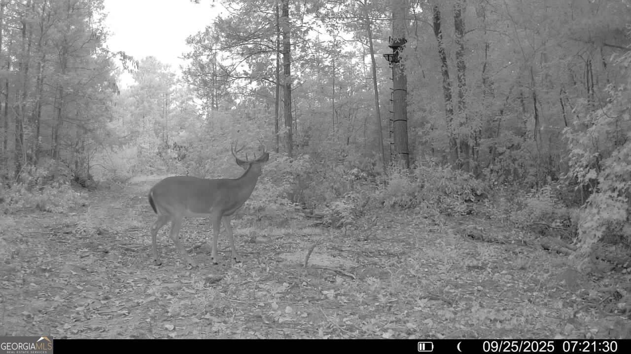15 Turning Point Way Elberton, GA 30635 - Photo 14 of 110