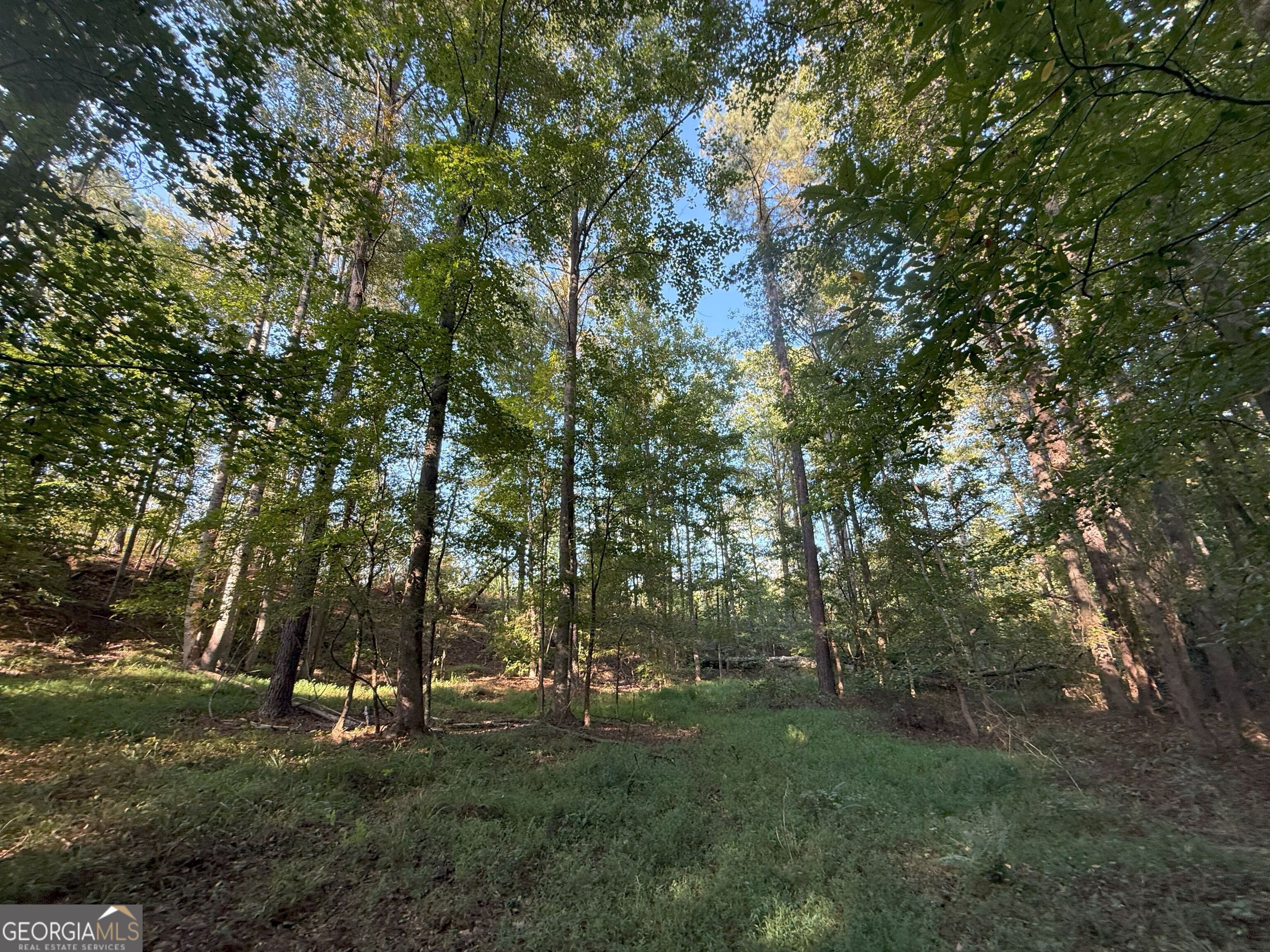 15 Turning Point Way Elberton, GA 30635 - Photo 15 of 110