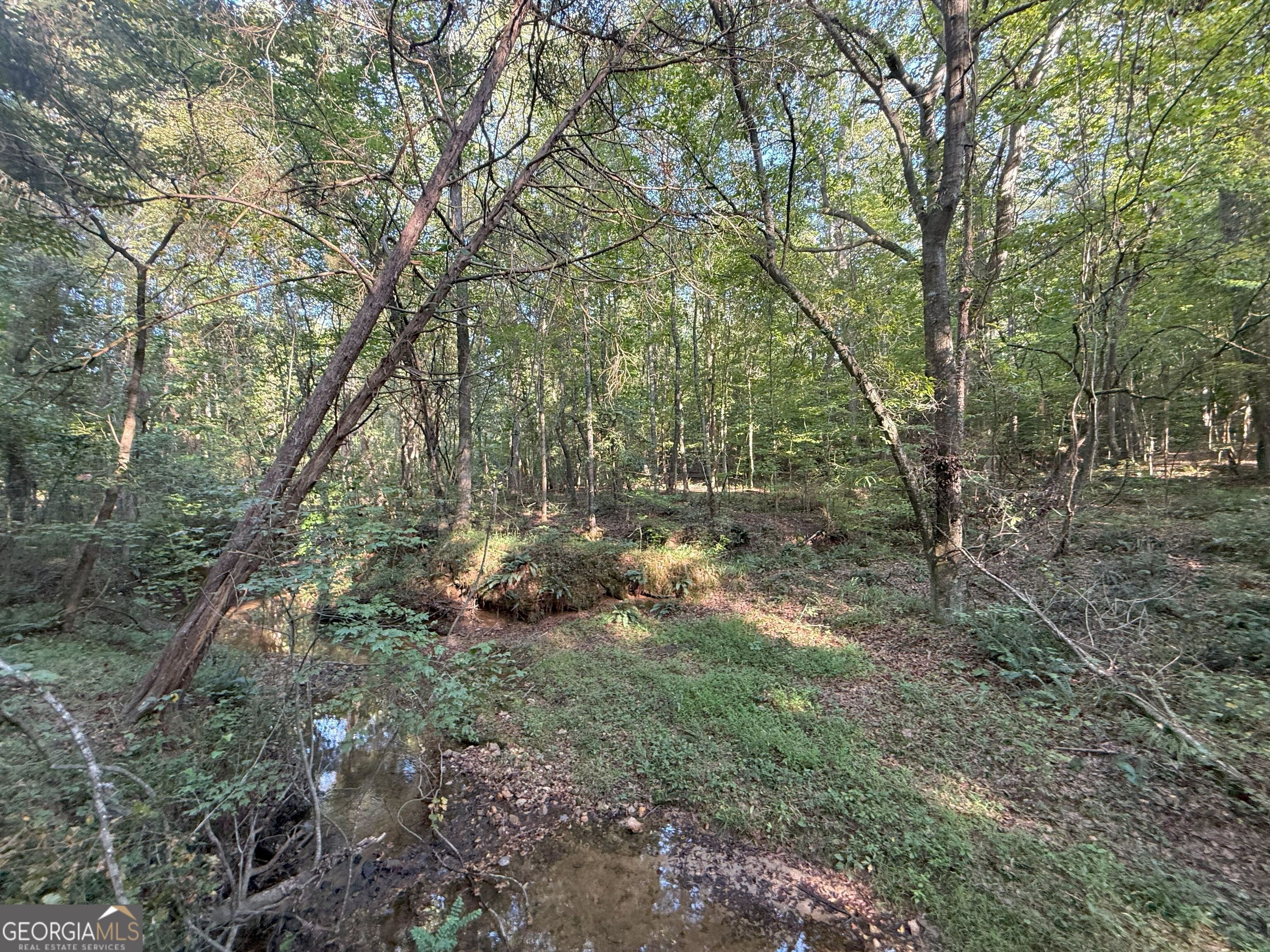15 Turning Point Way Elberton, GA 30635 - Photo 17 of 110