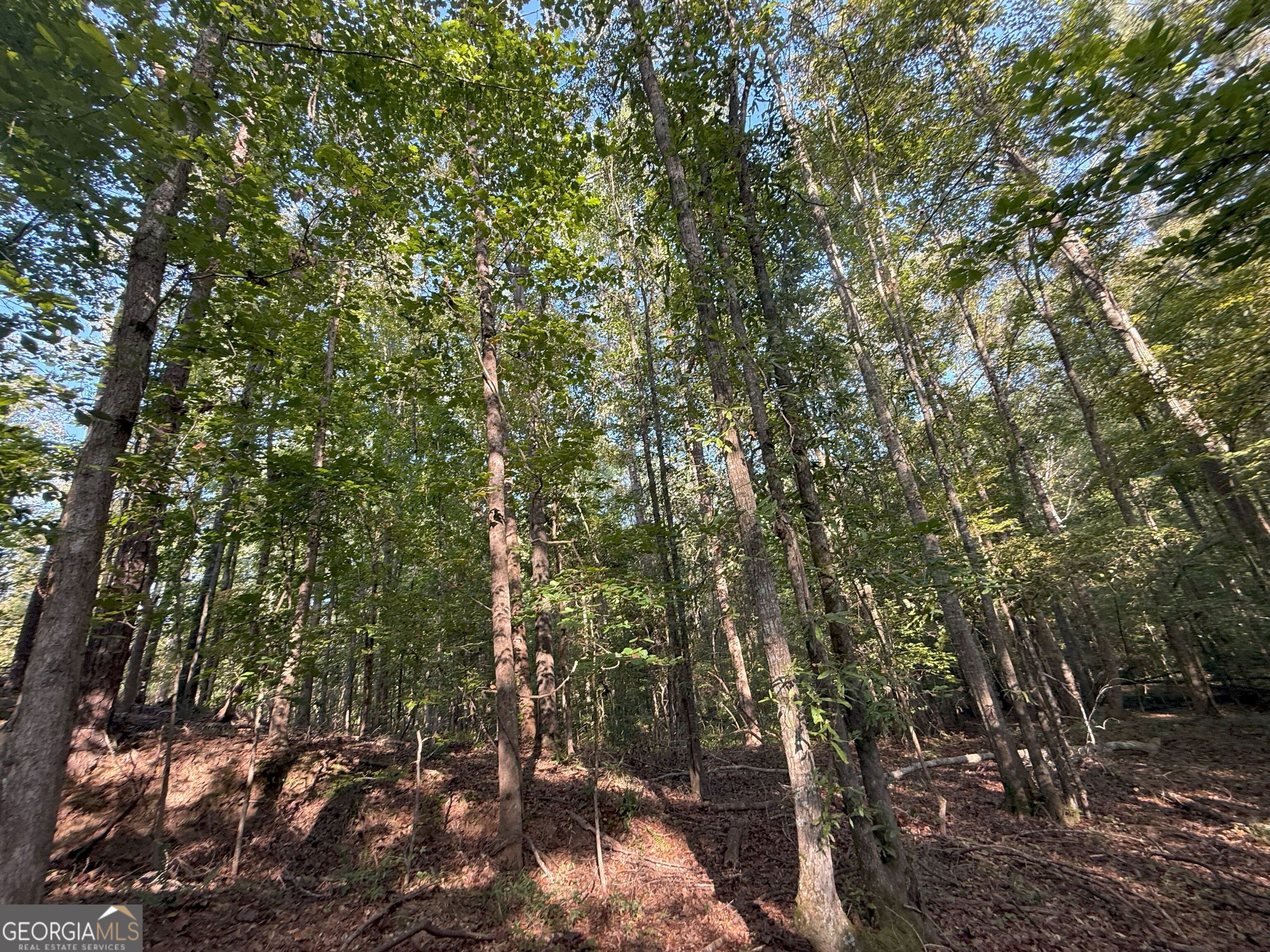 15 Turning Point Way Elberton, GA 30635 - Photo 20 of 110