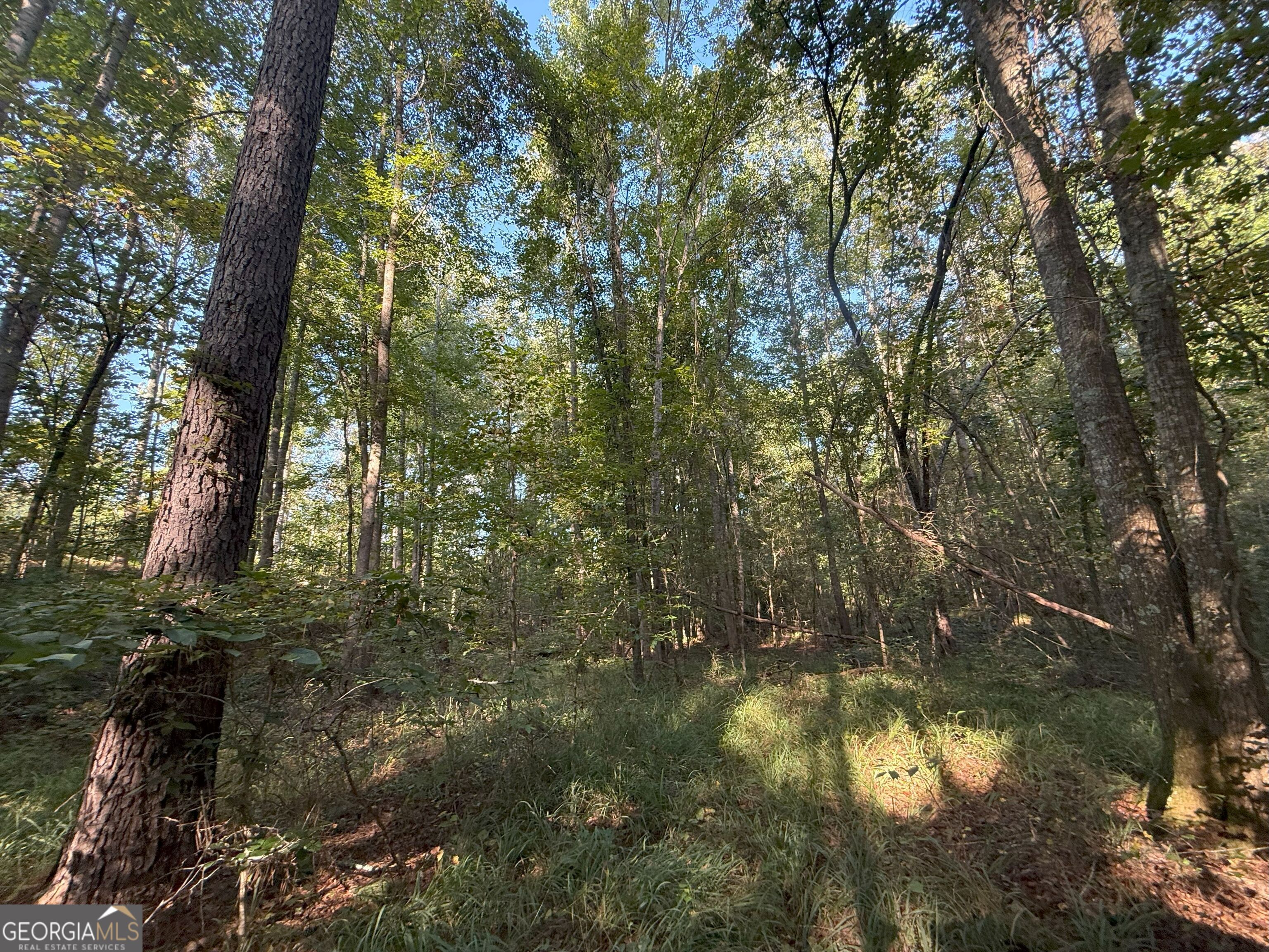 15 Turning Point Way Elberton, GA 30635 - Photo 21 of 110