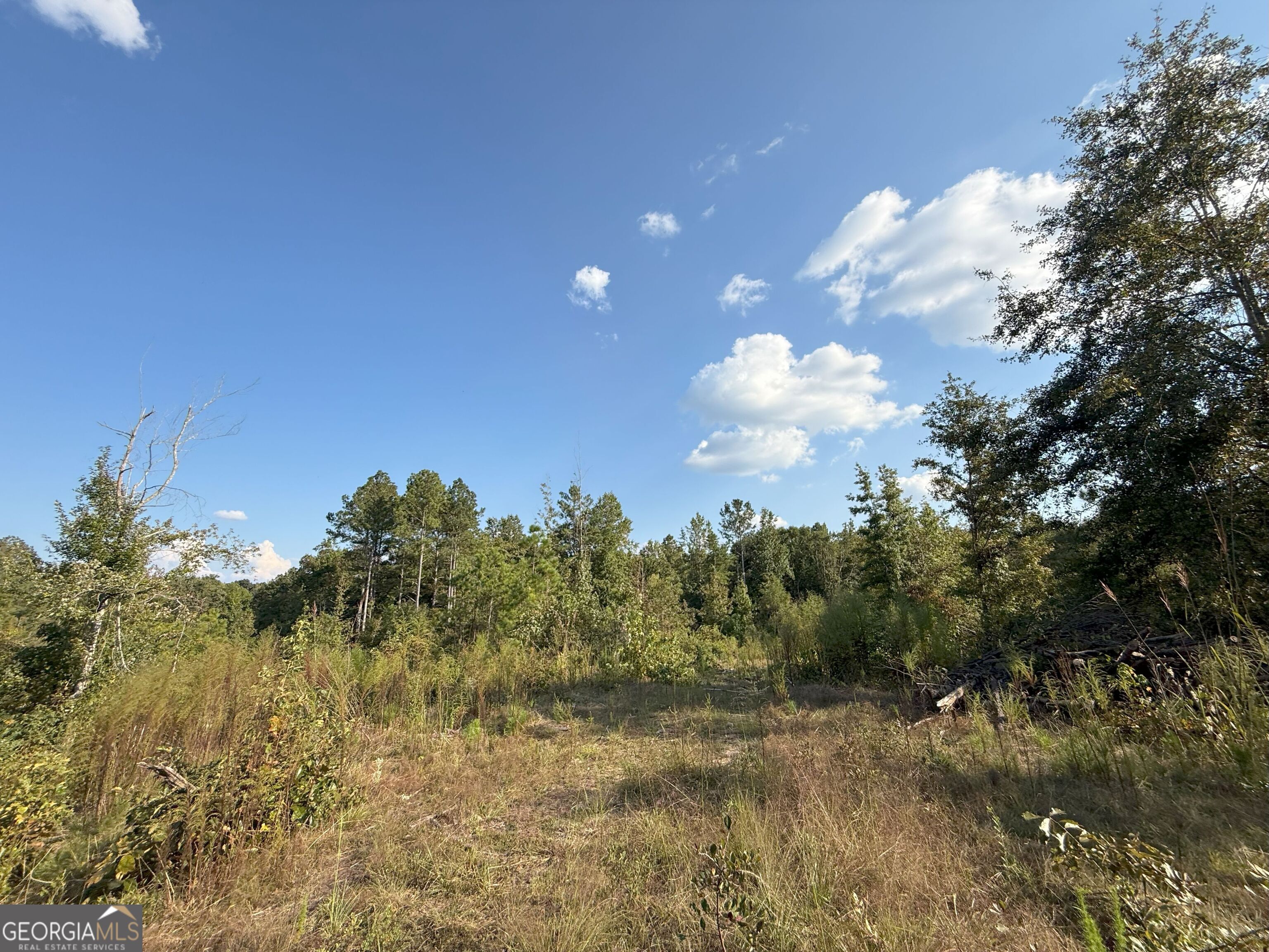 15 Turning Point Way Elberton, GA 30635 - Photo 22 of 110