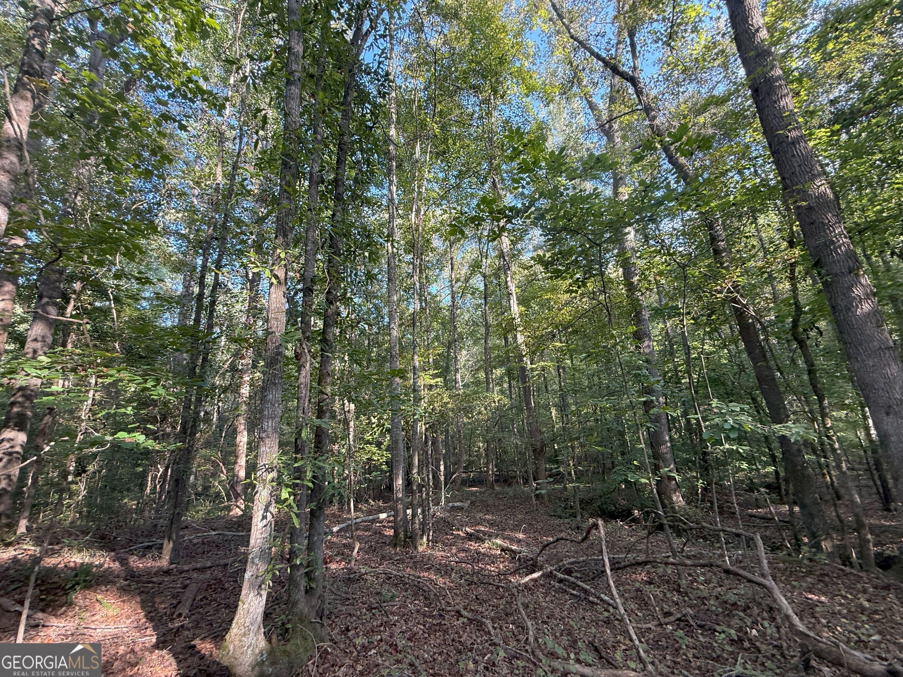 15 Turning Point Way Elberton, GA 30635 - Photo 23 of 110