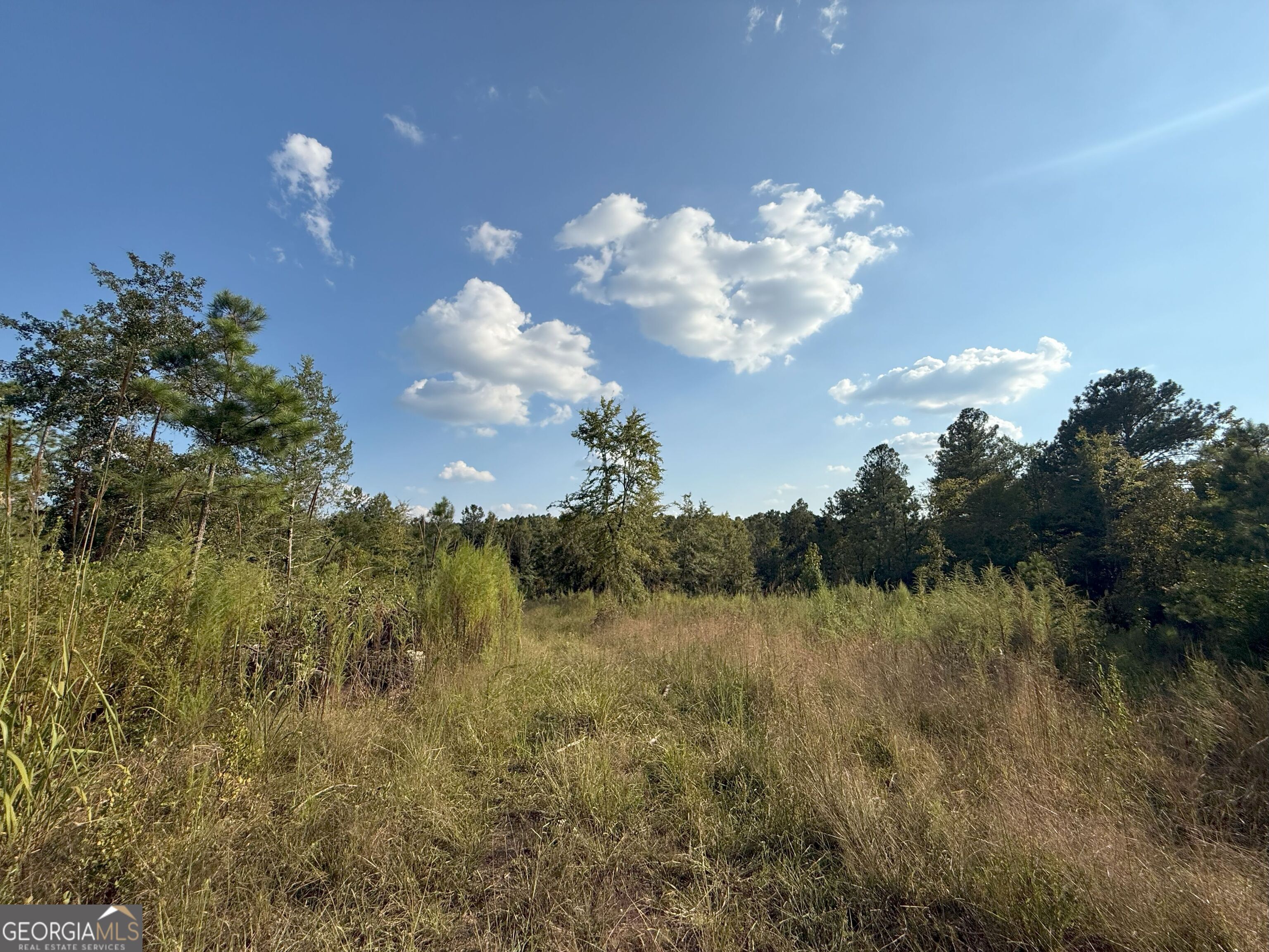 15 Turning Point Way Elberton, GA 30635 - Photo 25 of 110