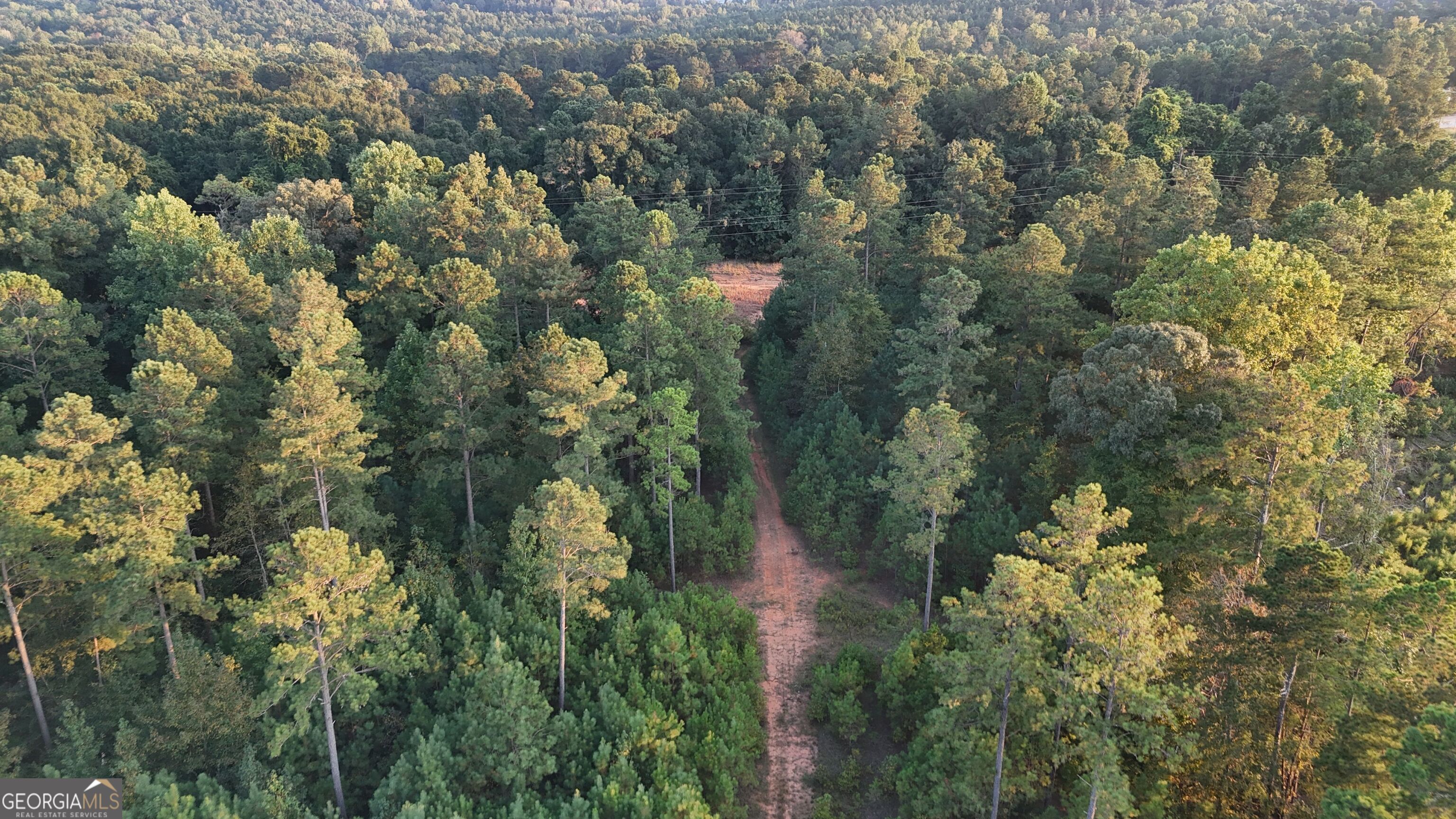 15 Turning Point Way Elberton, GA 30635 - Photo 37 of 110