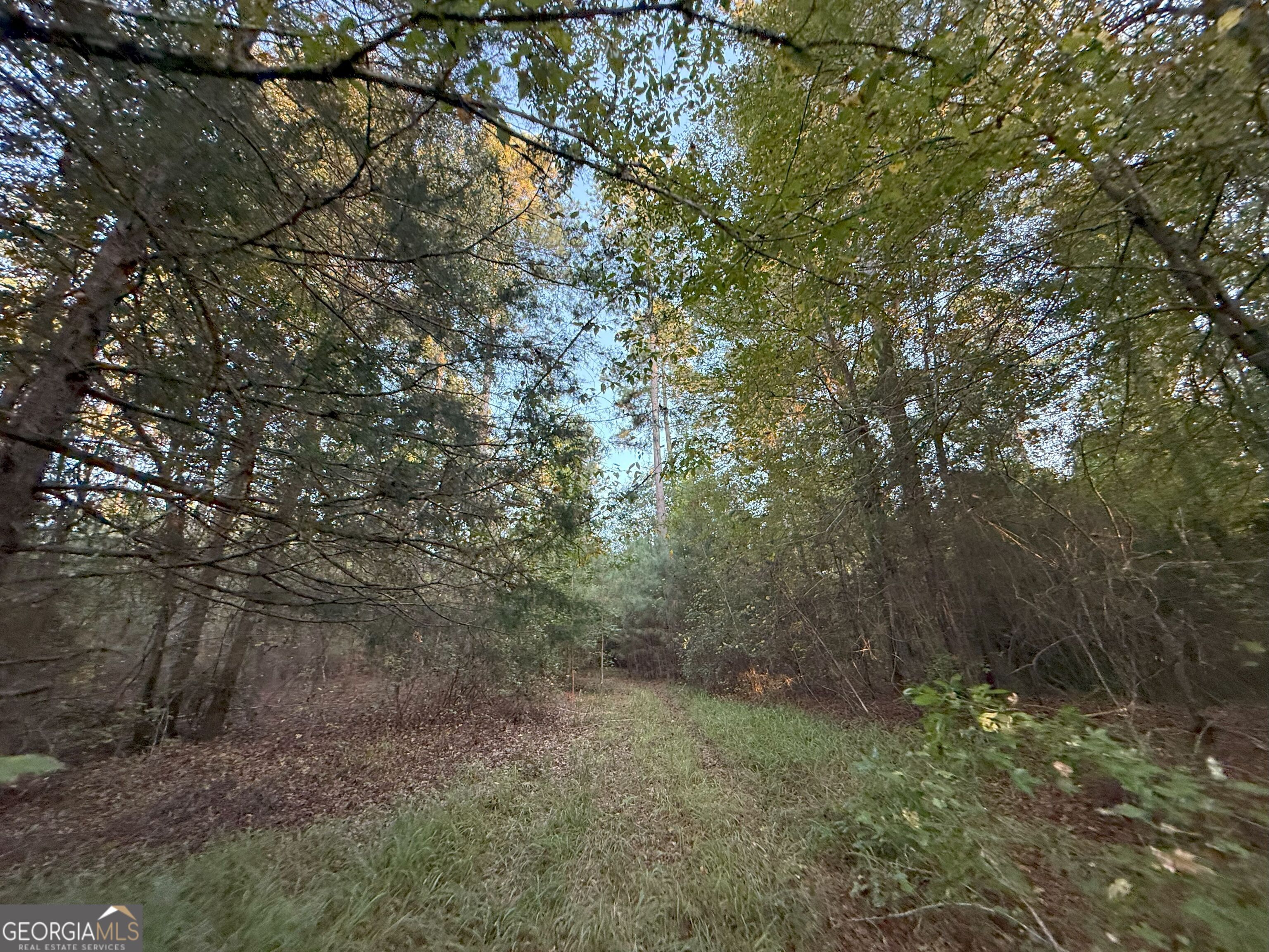 15 Turning Point Way Elberton, GA 30635 - Photo 68 of 110
