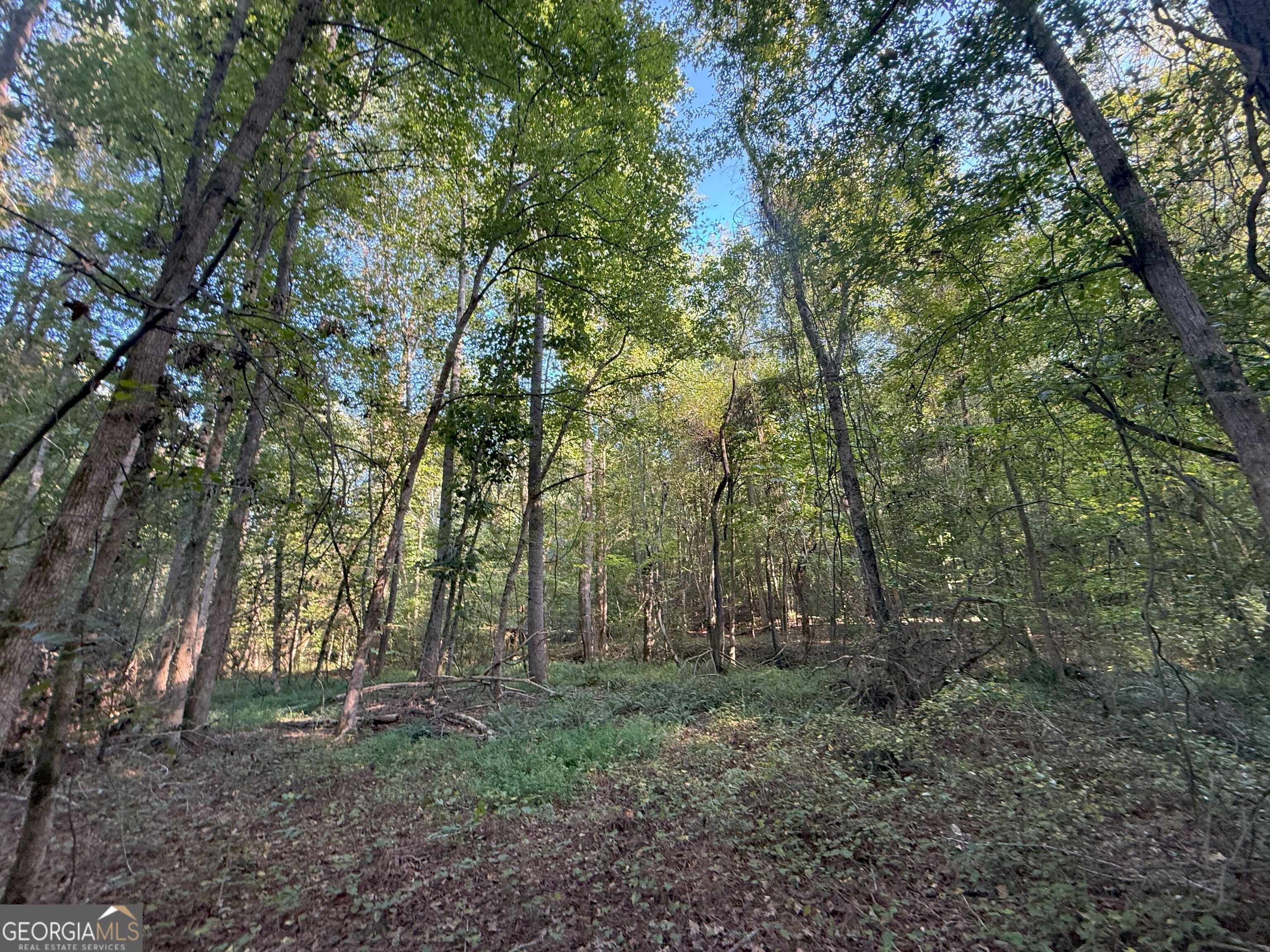 15 Turning Point Way Elberton, GA 30635 - Photo 7 of 110