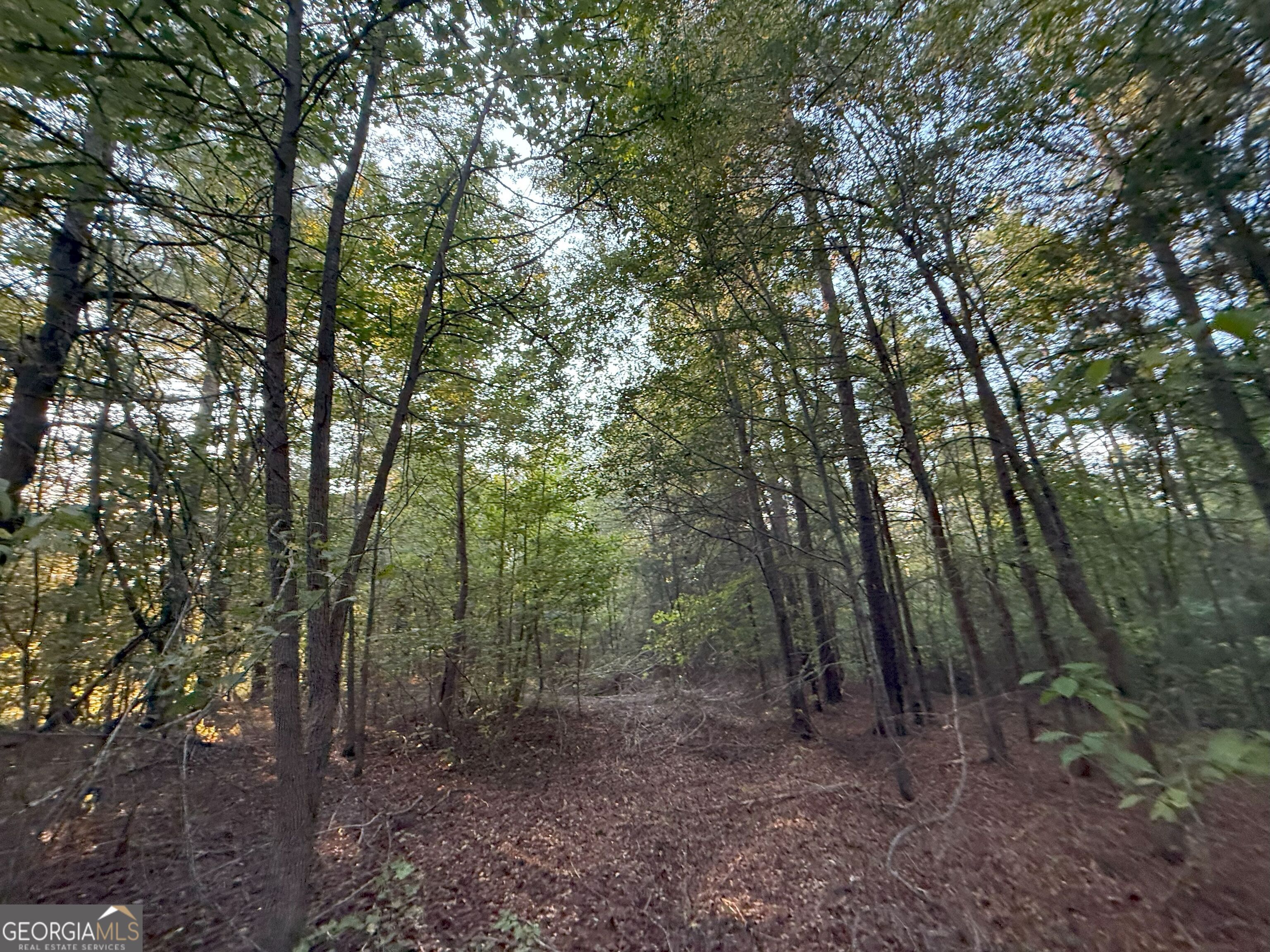 15 Turning Point Way Elberton, GA 30635 - Photo 72 of 110