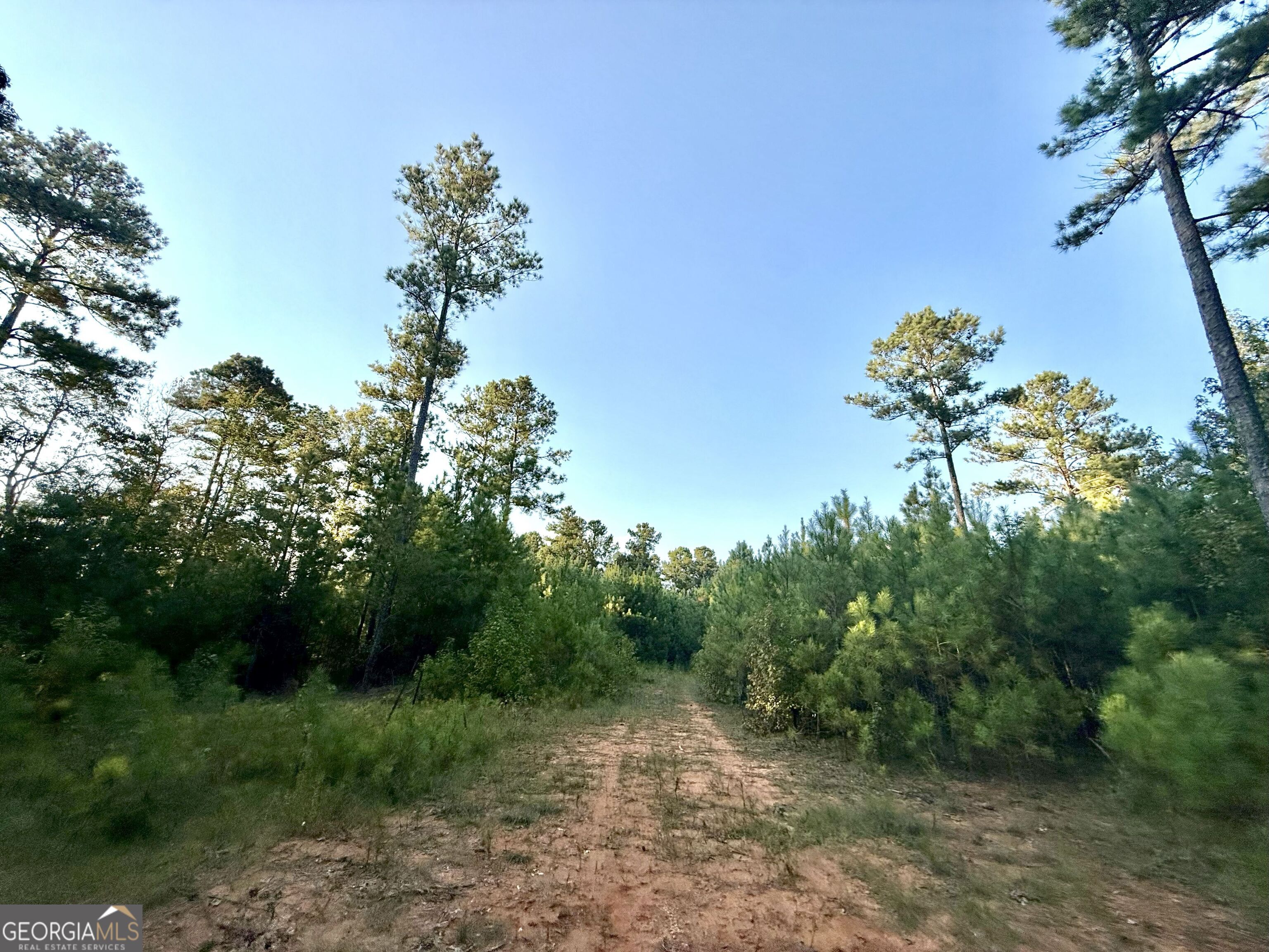 15 Turning Point Way Elberton, GA 30635 - Photo 74 of 110