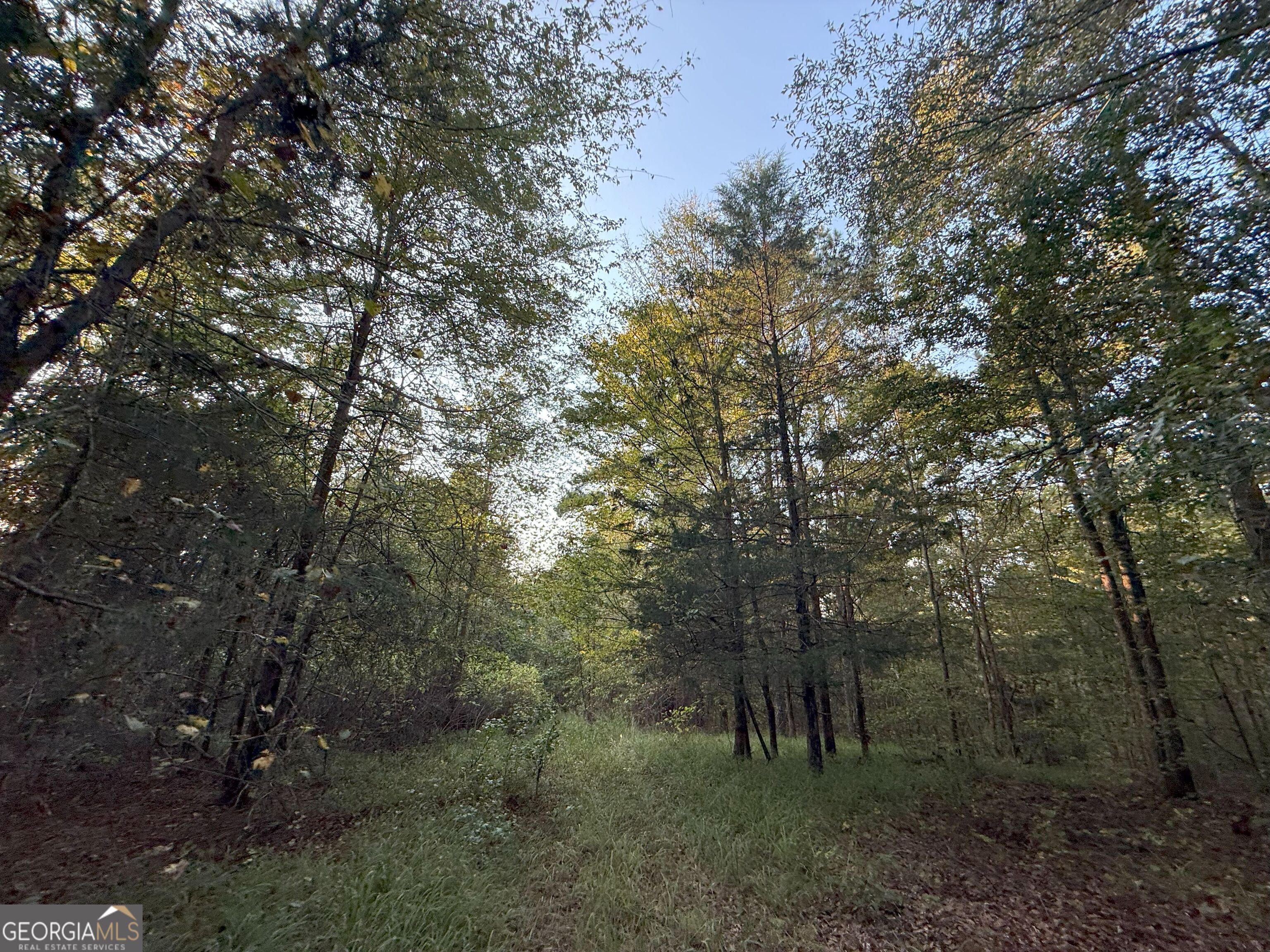 15 Turning Point Way Elberton, GA 30635 - Photo 76 of 110