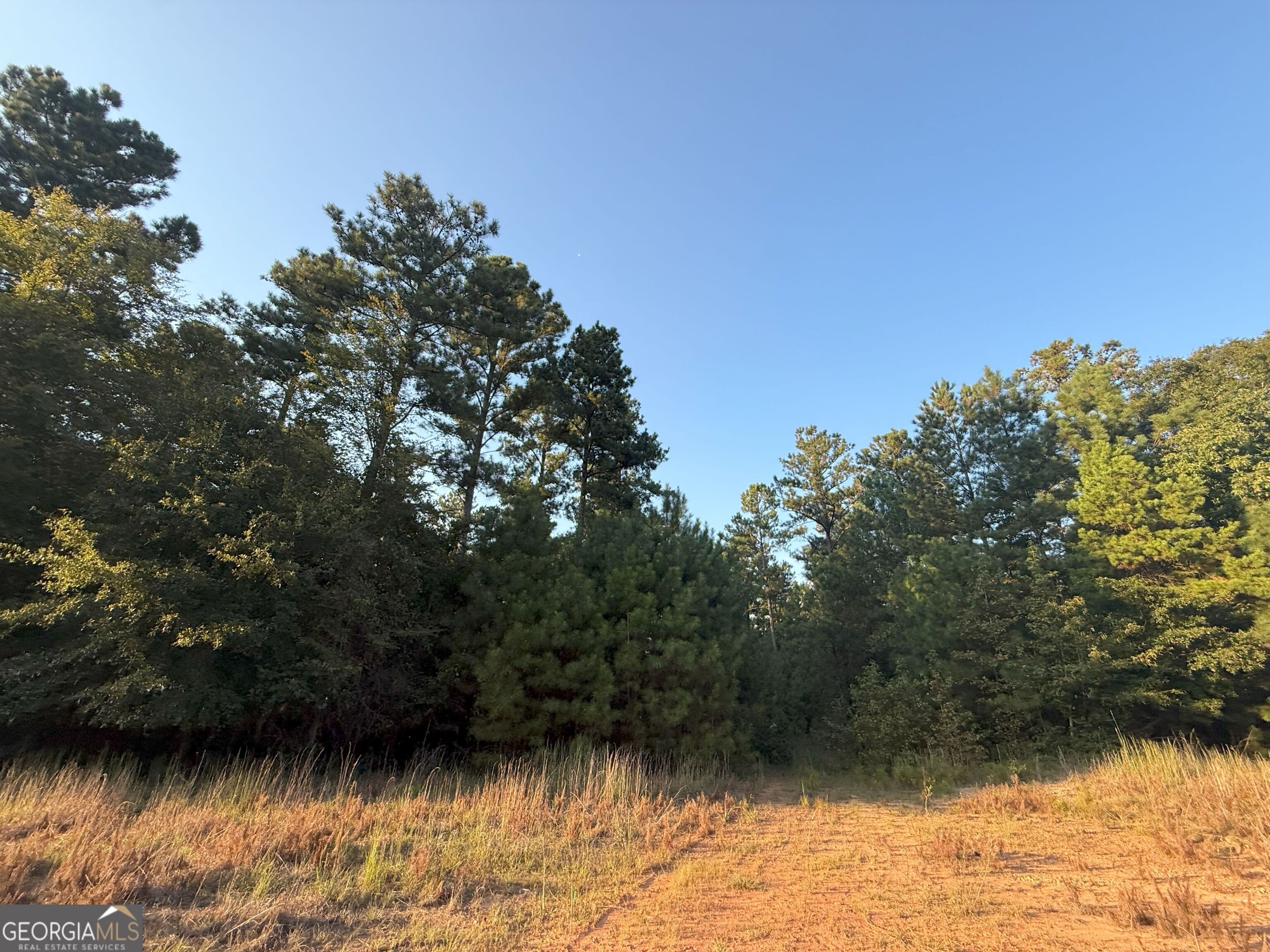 15 Turning Point Way Elberton, GA 30635 - Photo 77 of 110