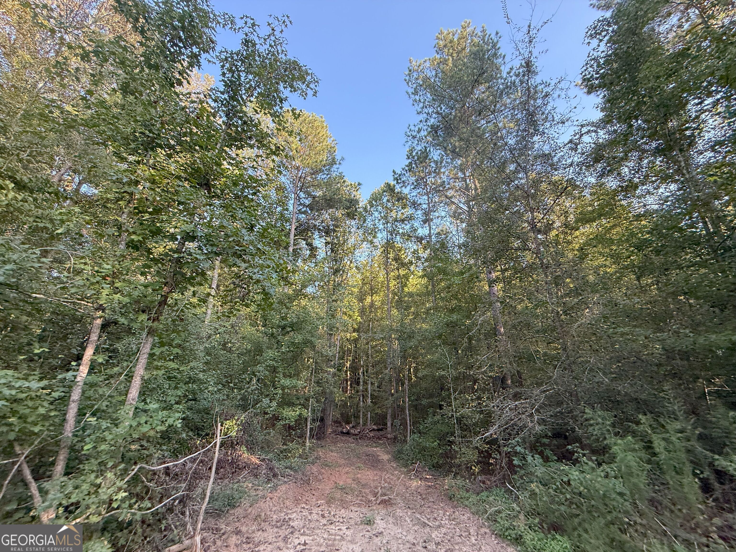 15 Turning Point Way Elberton, GA 30635 - Photo 84 of 110