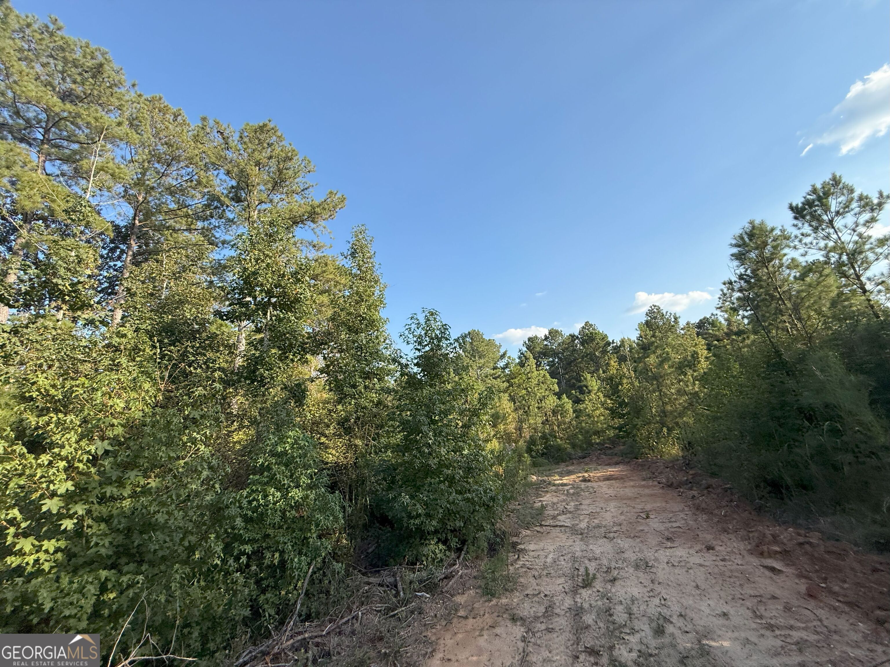 15 Turning Point Way Elberton, GA 30635 - Photo 86 of 110