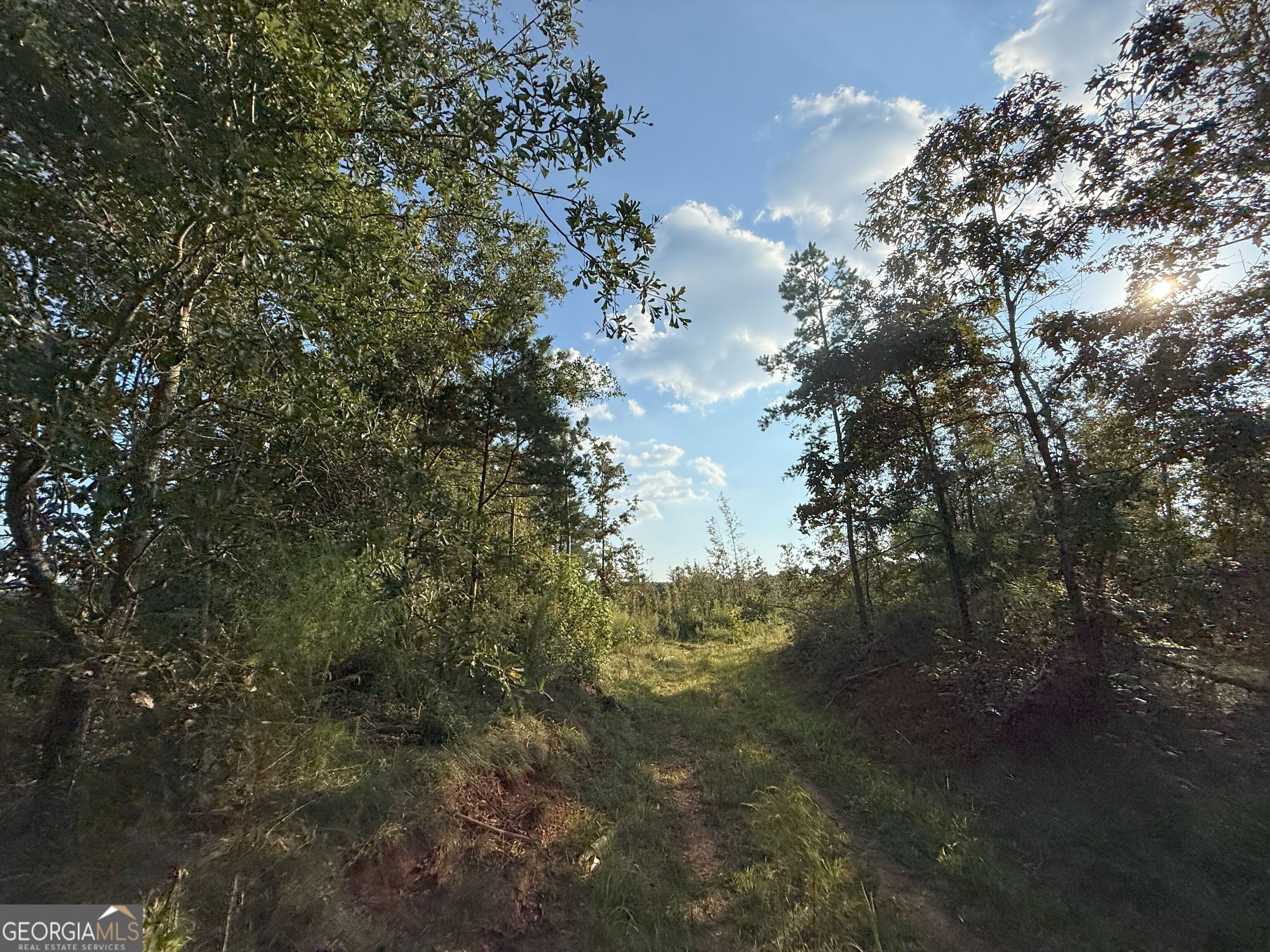 15 Turning Point Way Elberton, GA 30635 - Photo 91 of 110