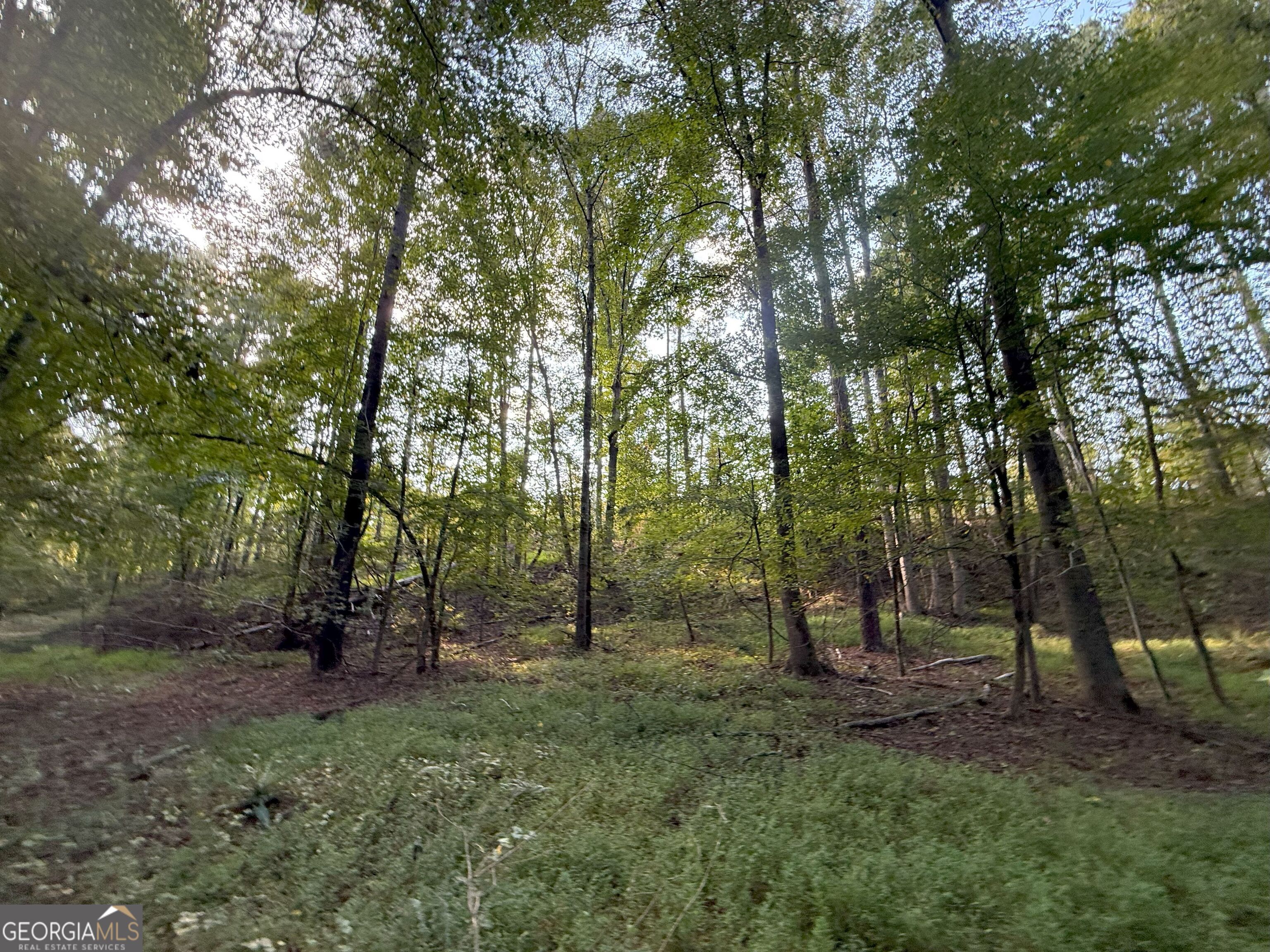 15 Turning Point Way Elberton, GA 30635 - Photo 95 of 110